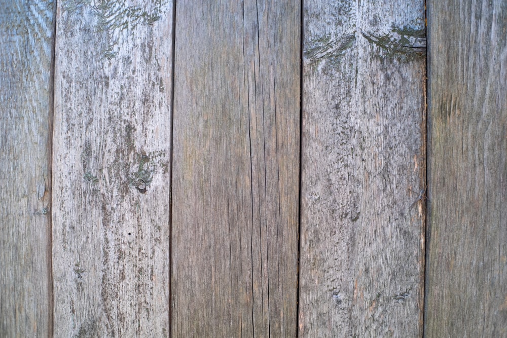 a close up of a wooden fence with a bird on it