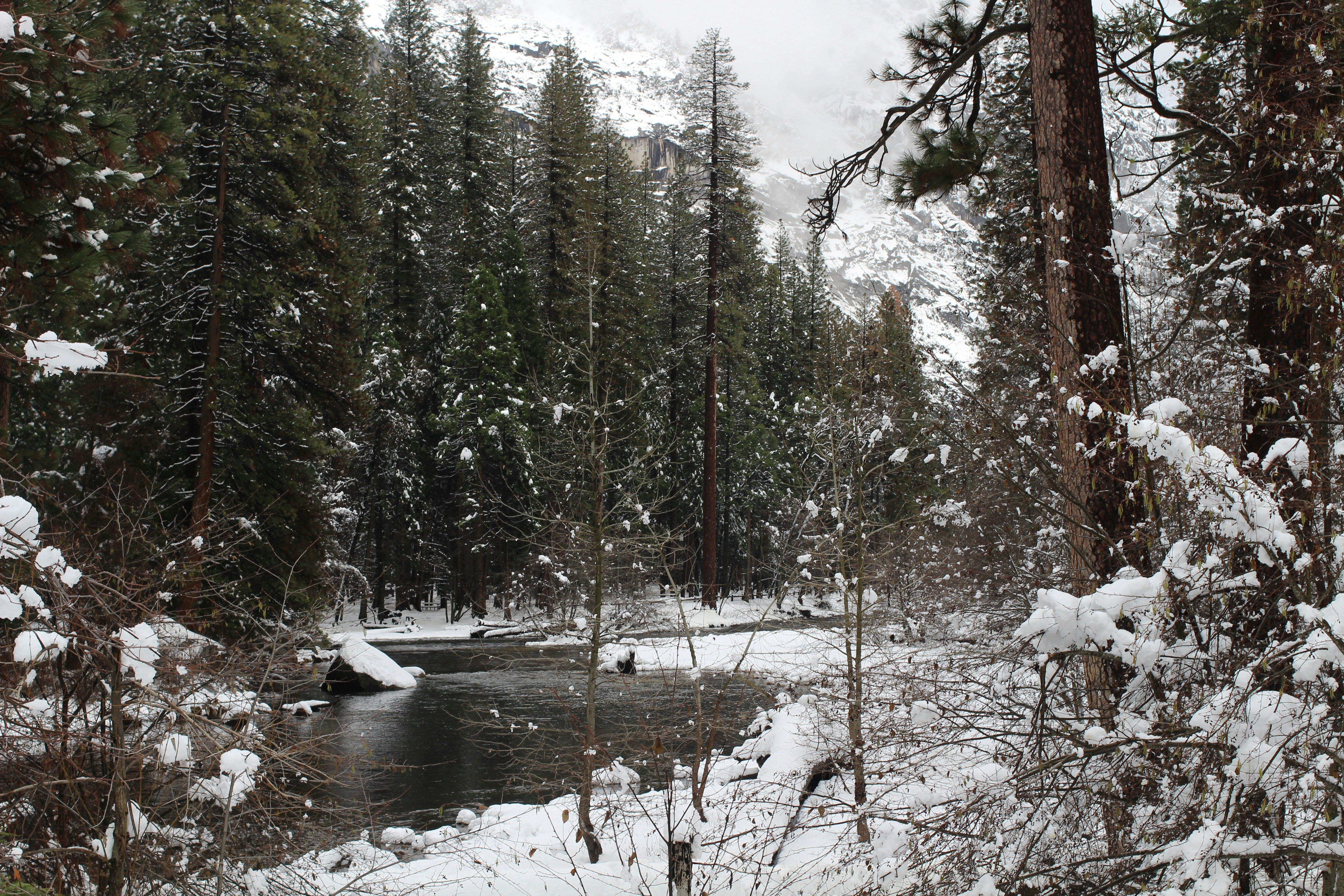 A river running through a forest covered in snow photo – Free Winter ...