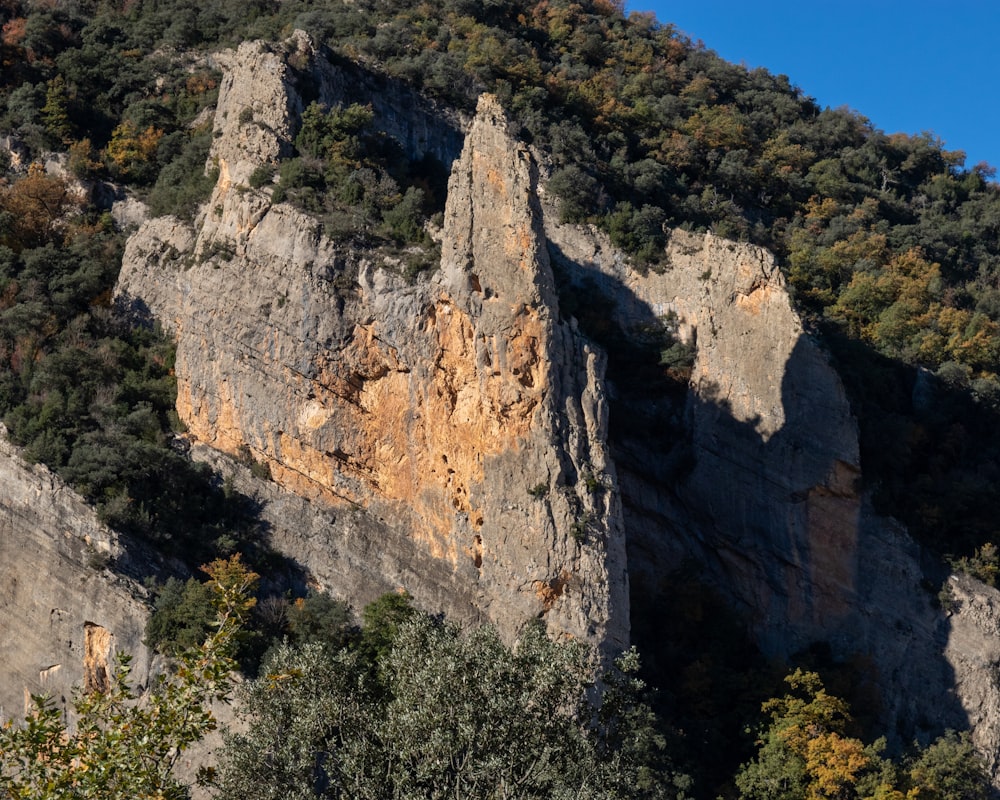 a rocky mountain with trees on the side