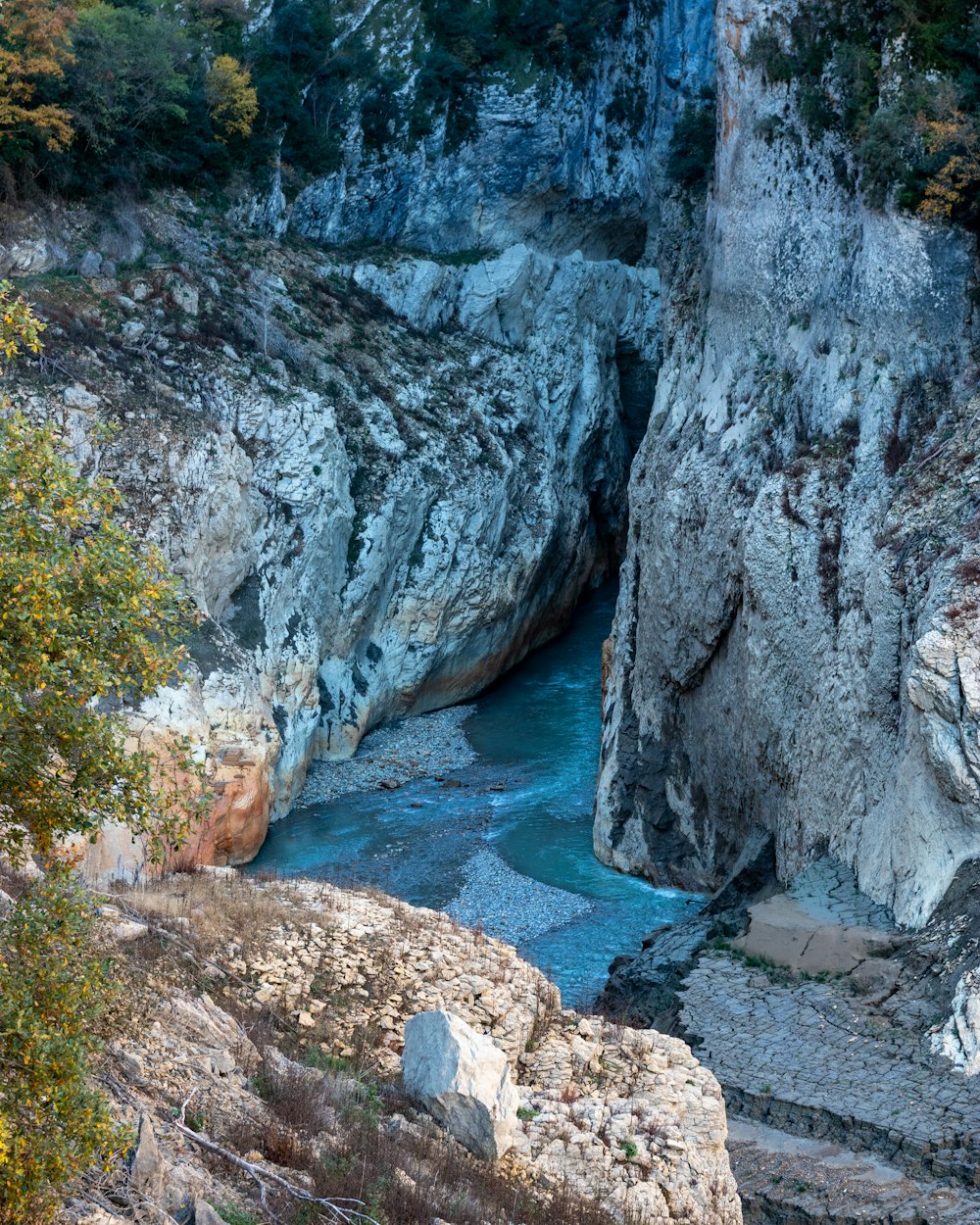 a river running through a rocky canyon next to a forest