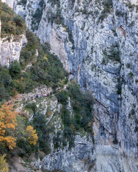 A small group of hikers walking along a narrow trail surrounded by colorful autumn foliage.