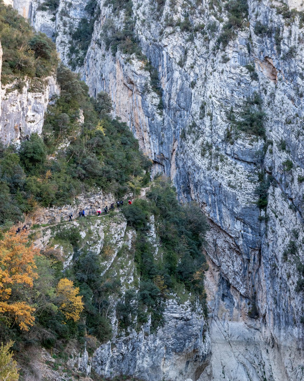 a group of people climbing up a mountain side