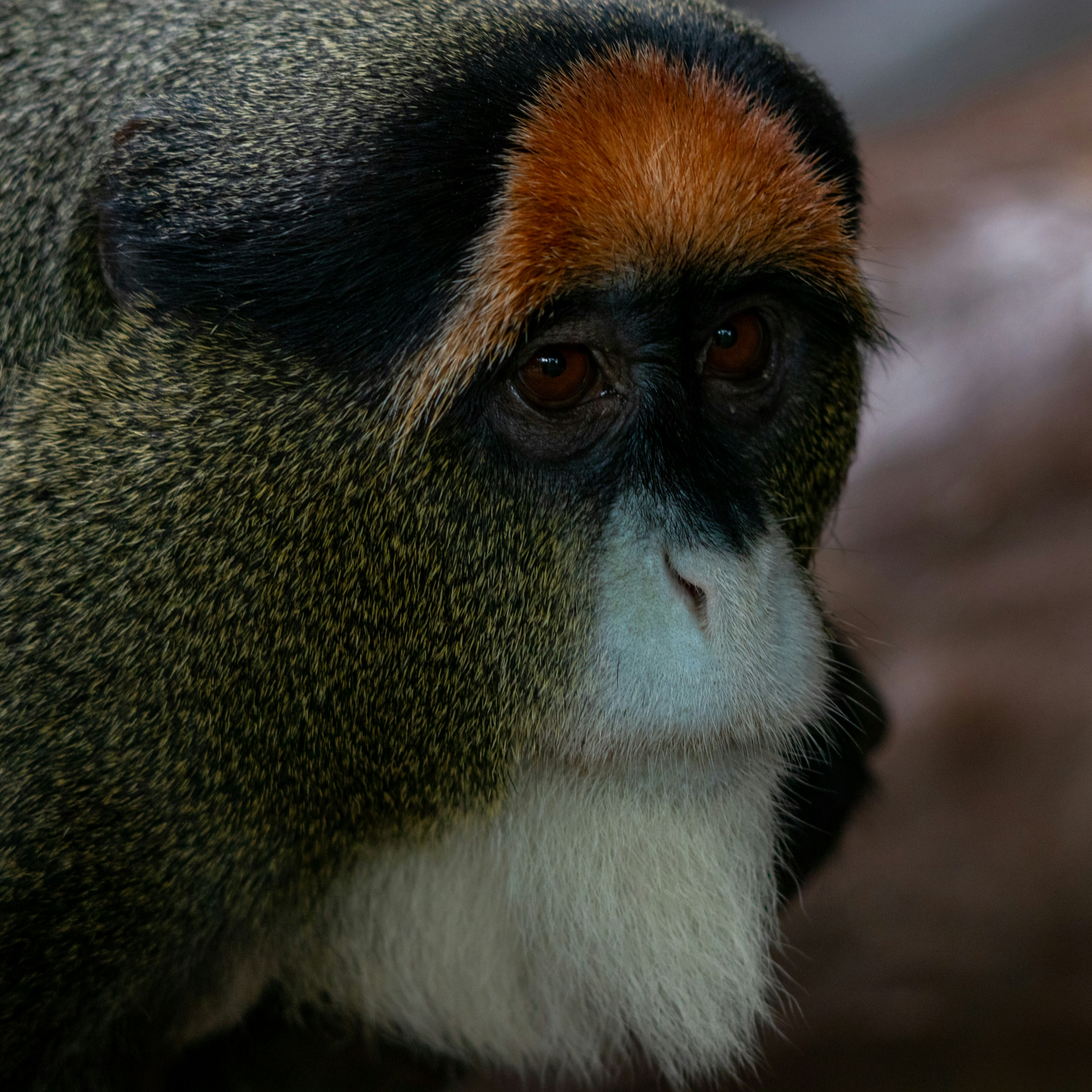 Photo by matthieur68