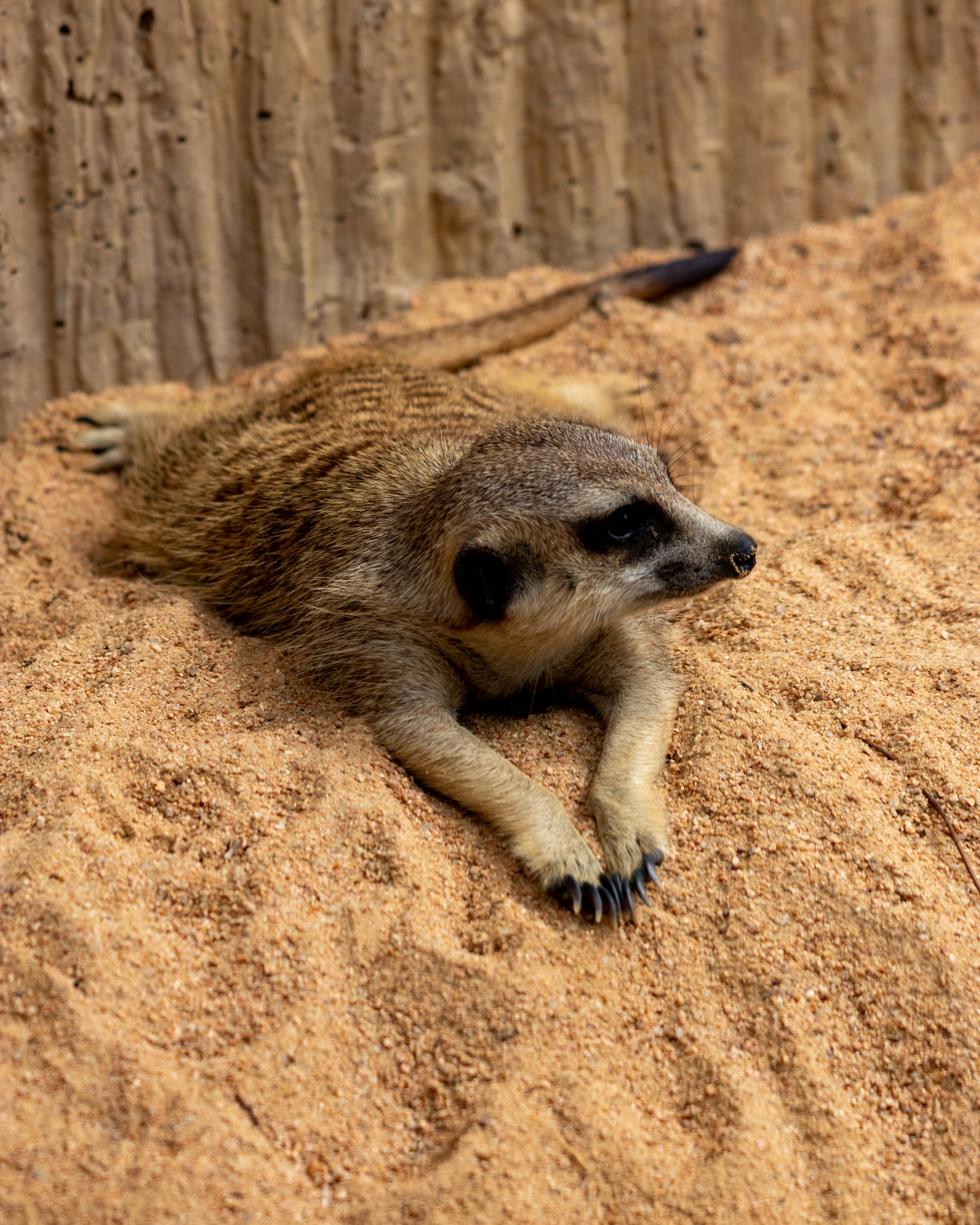 Photo by matthieur68