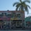 A colorful mural featuring a woman's face with vibrant makeup and headwrap decorates the upper part of a building. The mural is accompanied by images of fruits like oranges and lemons, as well as tropical plants and a rooster. Below the mural, a sign reads 'Party Cake Bakery' with a line of people standing on the sidewalk in front. A tall palm tree stands to the right of the building.