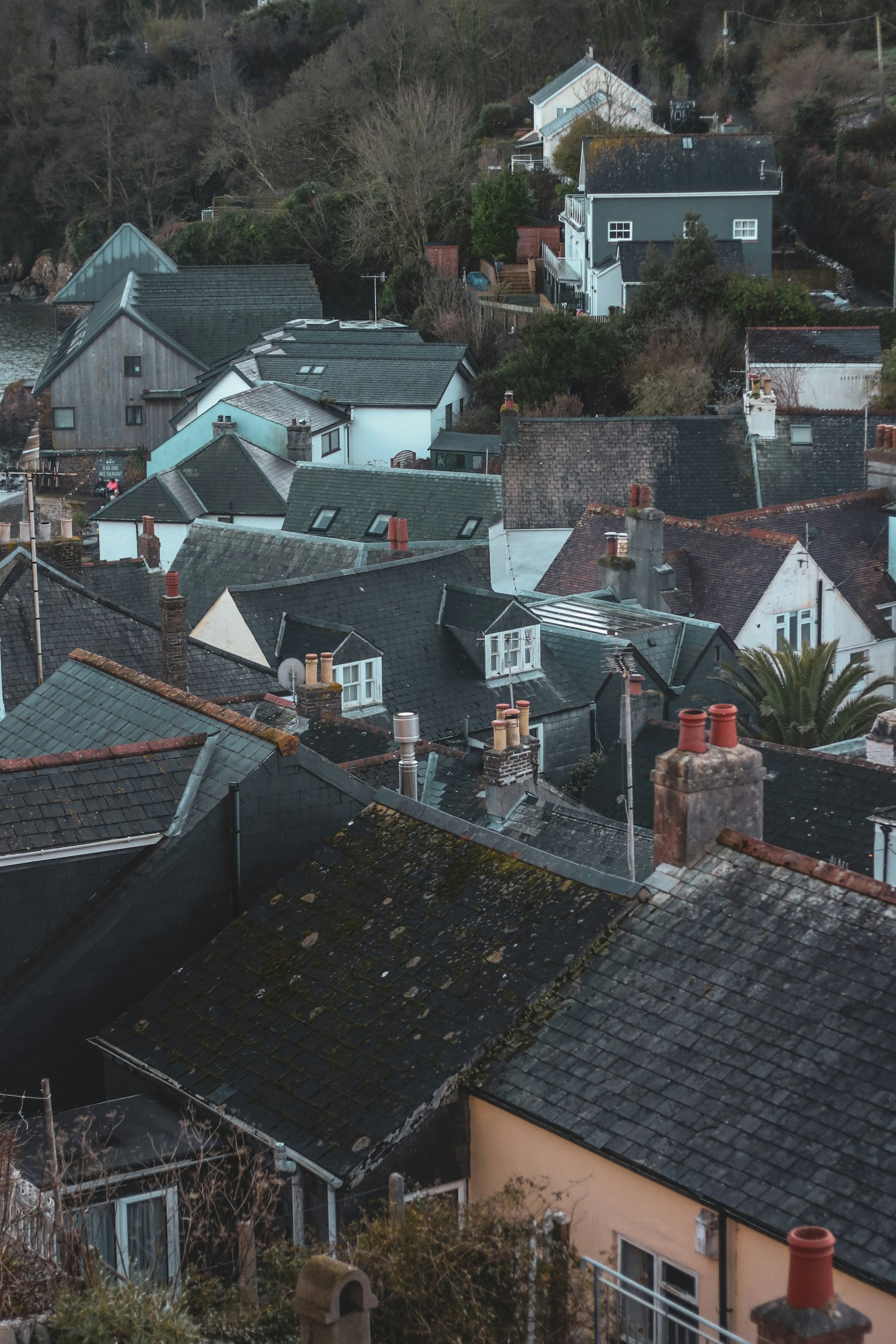 Photo by focalinsight