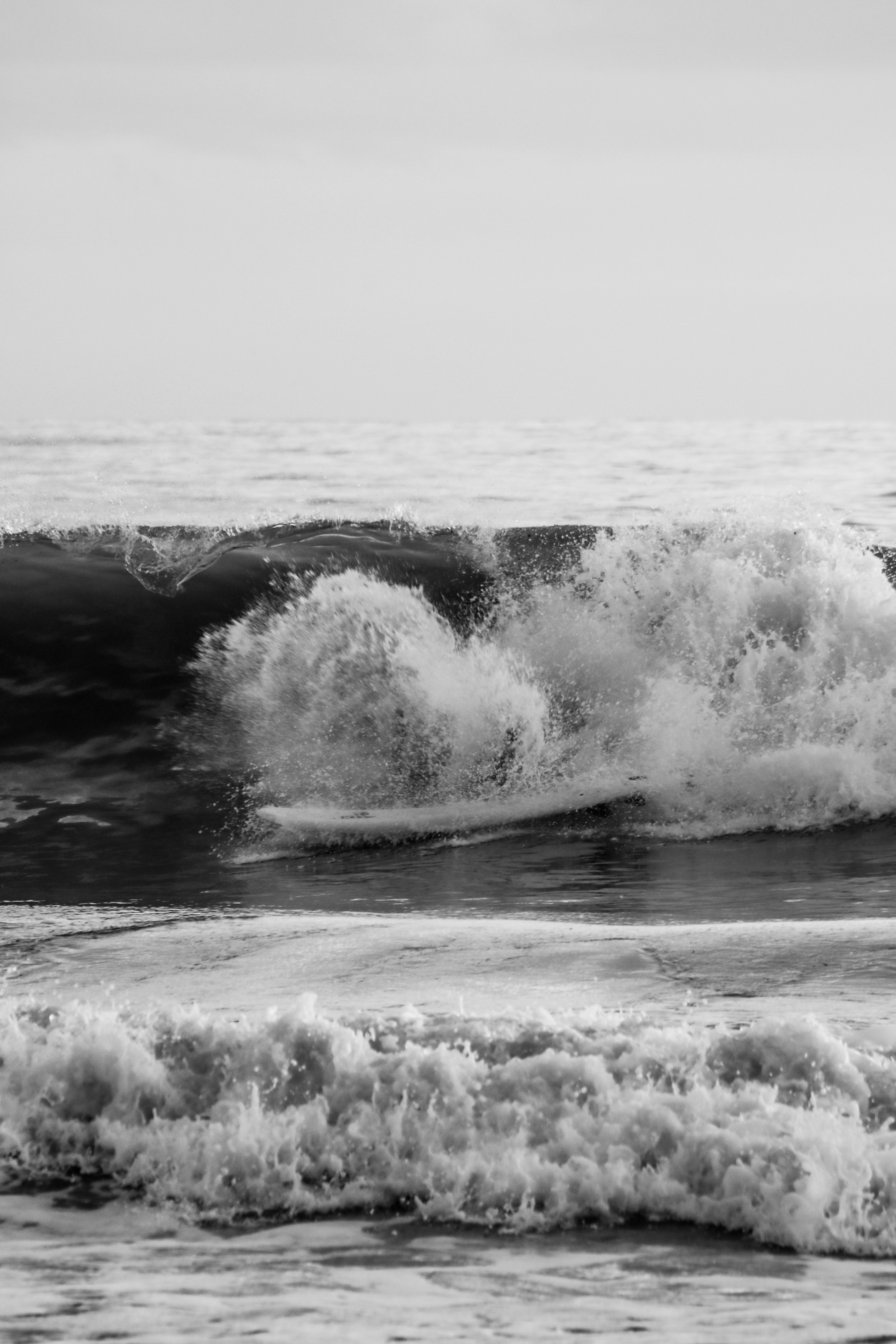 Photo by focalinsight