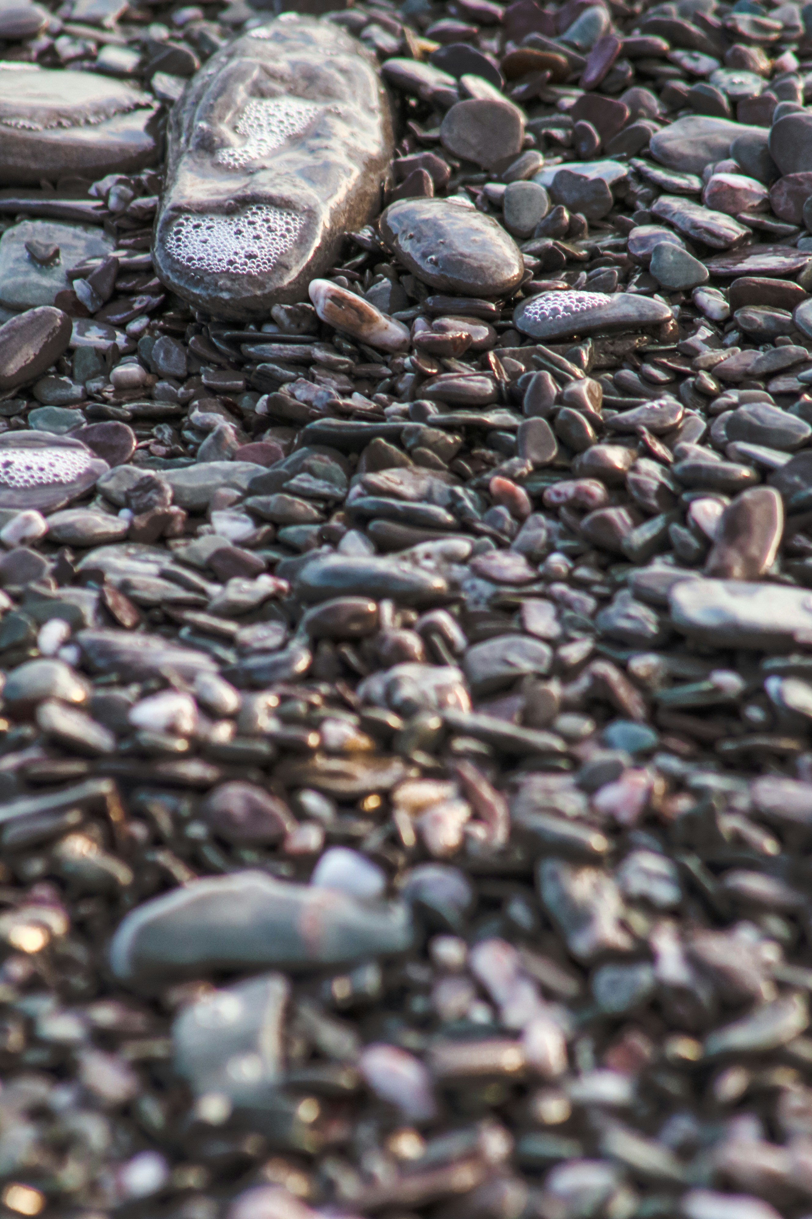 Photo by focalinsight