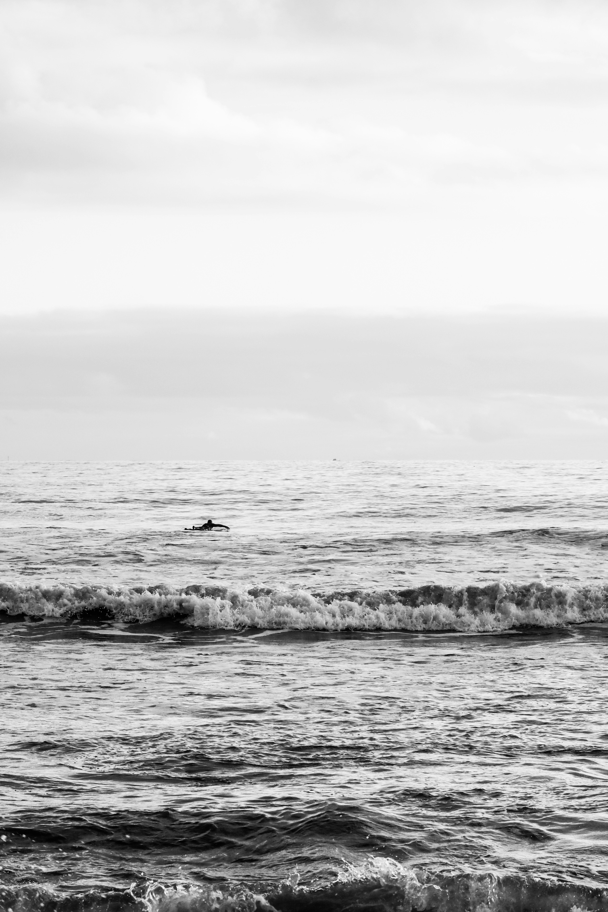 Photo by focalinsight