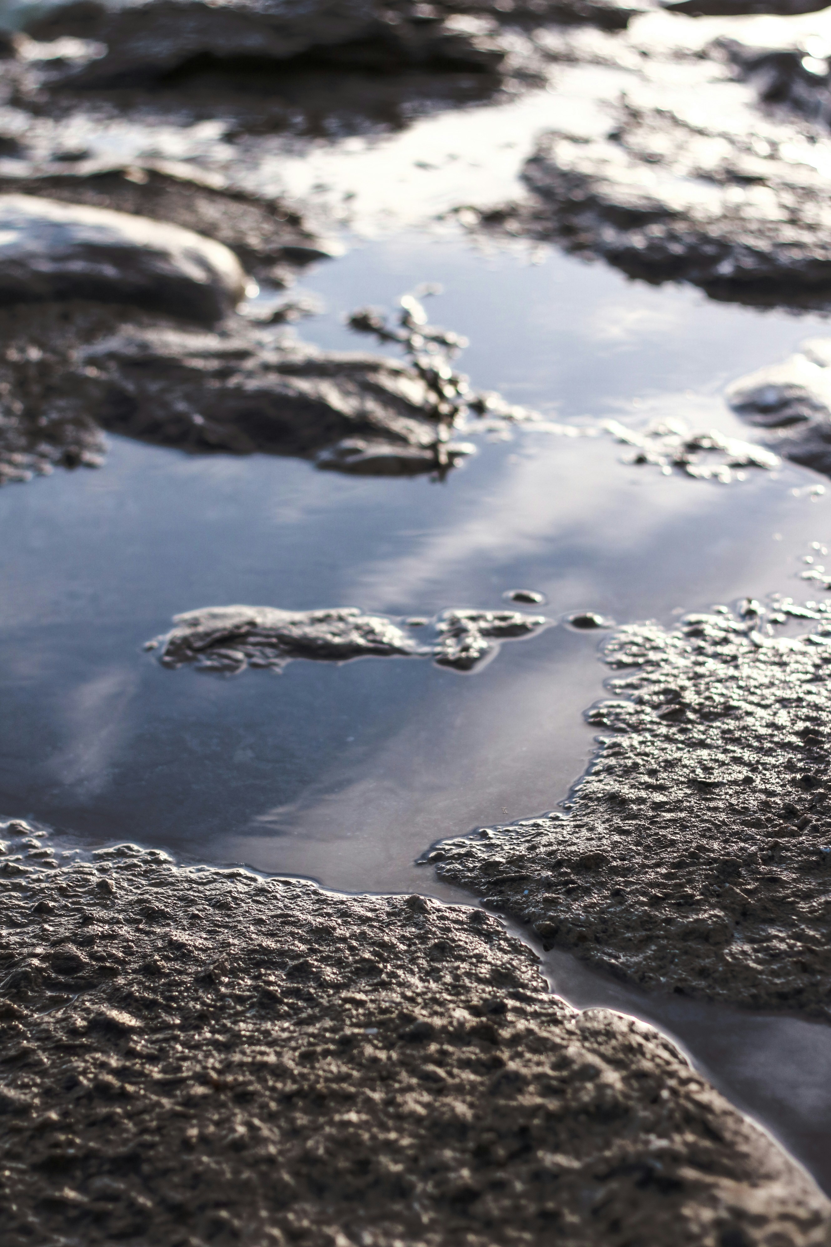 Photo by focalinsight