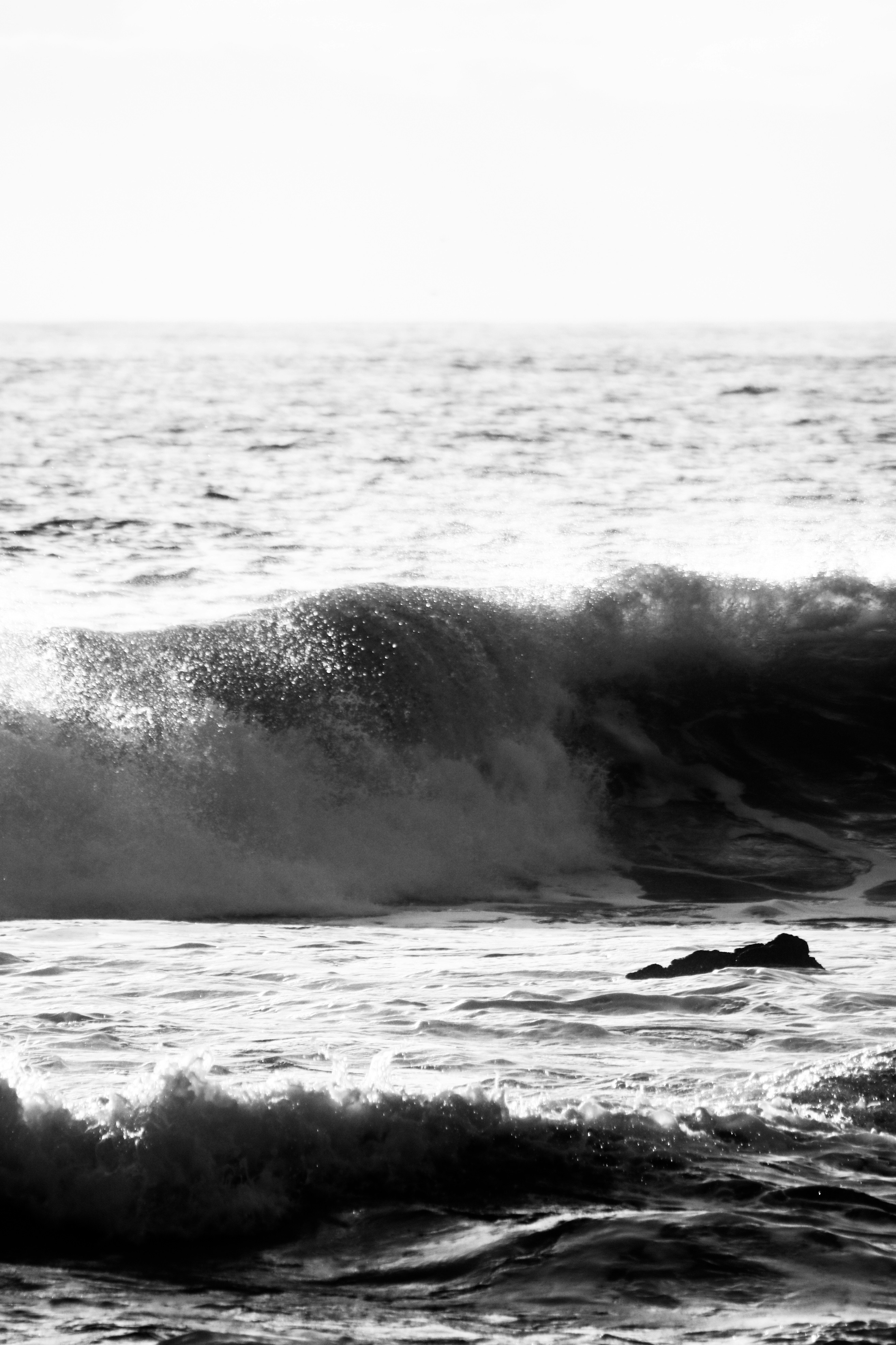 Photo by focalinsight