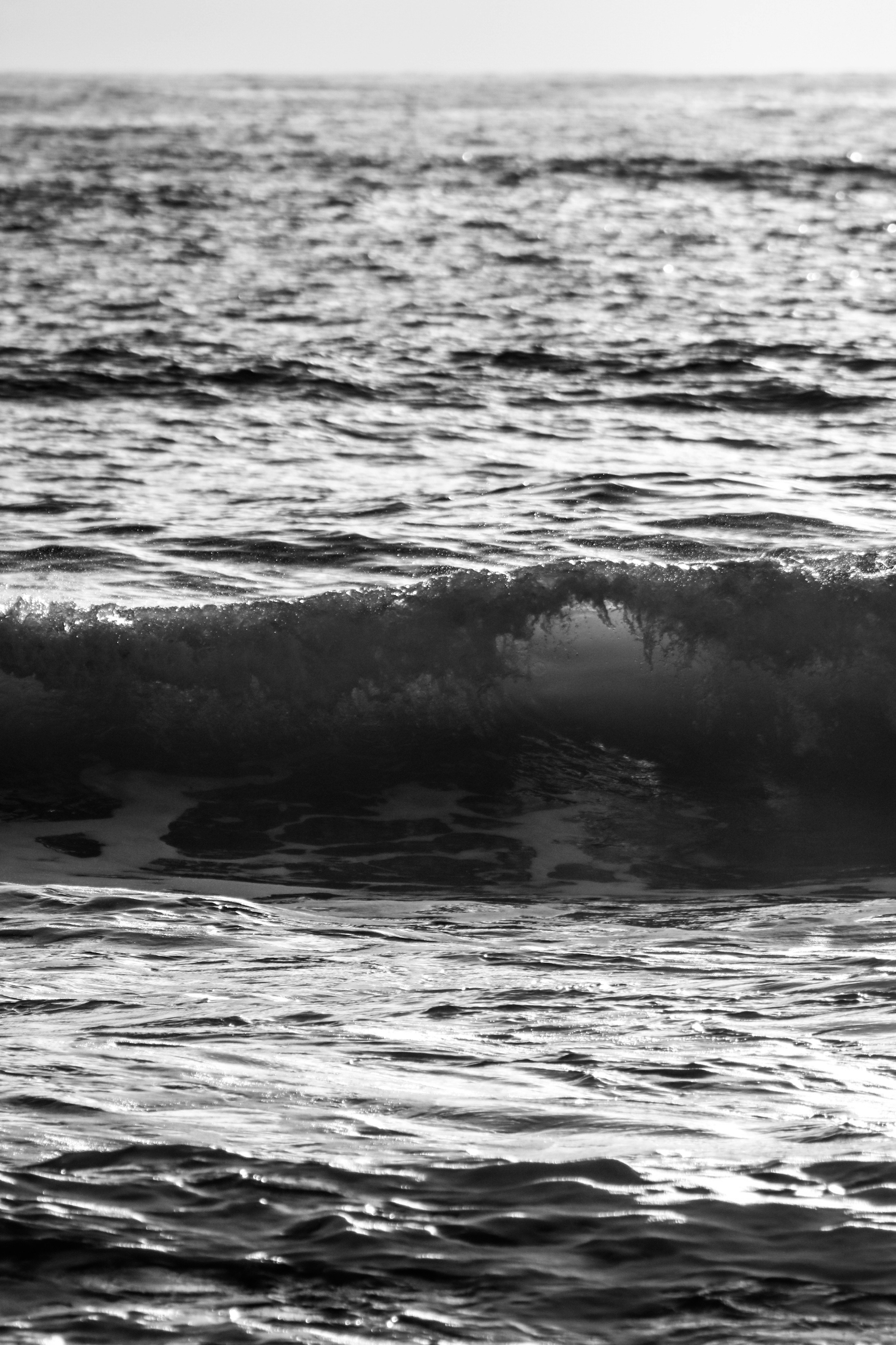 Photo by focalinsight