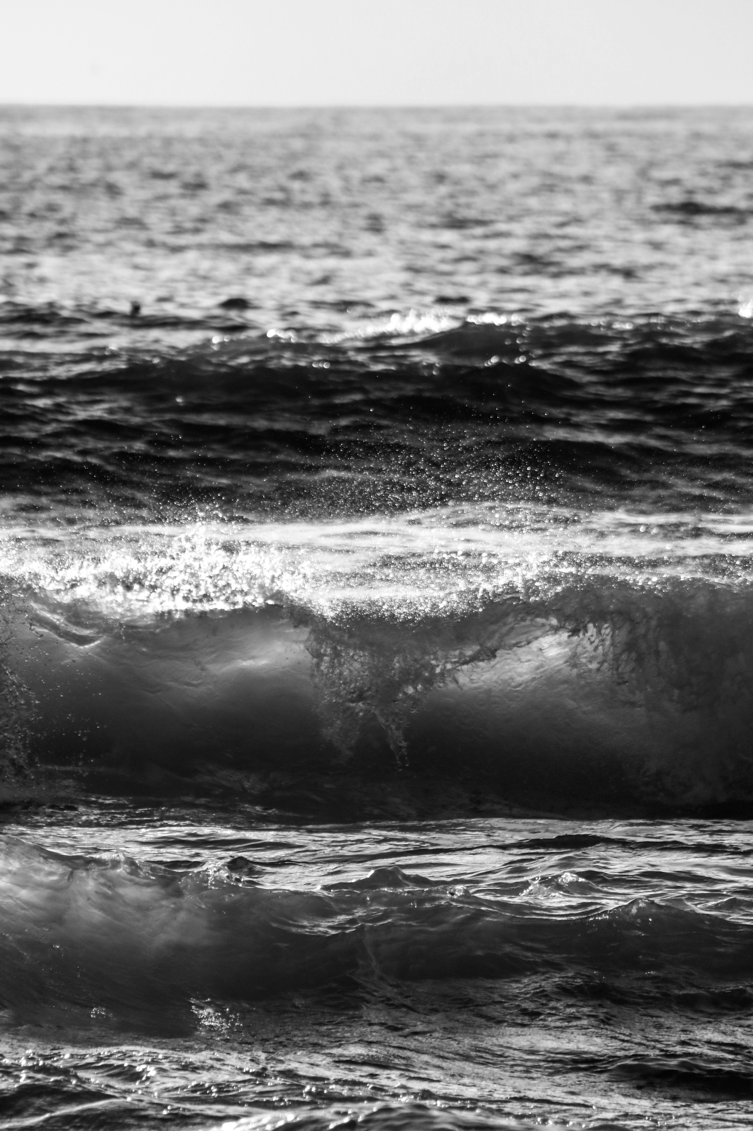 Photo by focalinsight