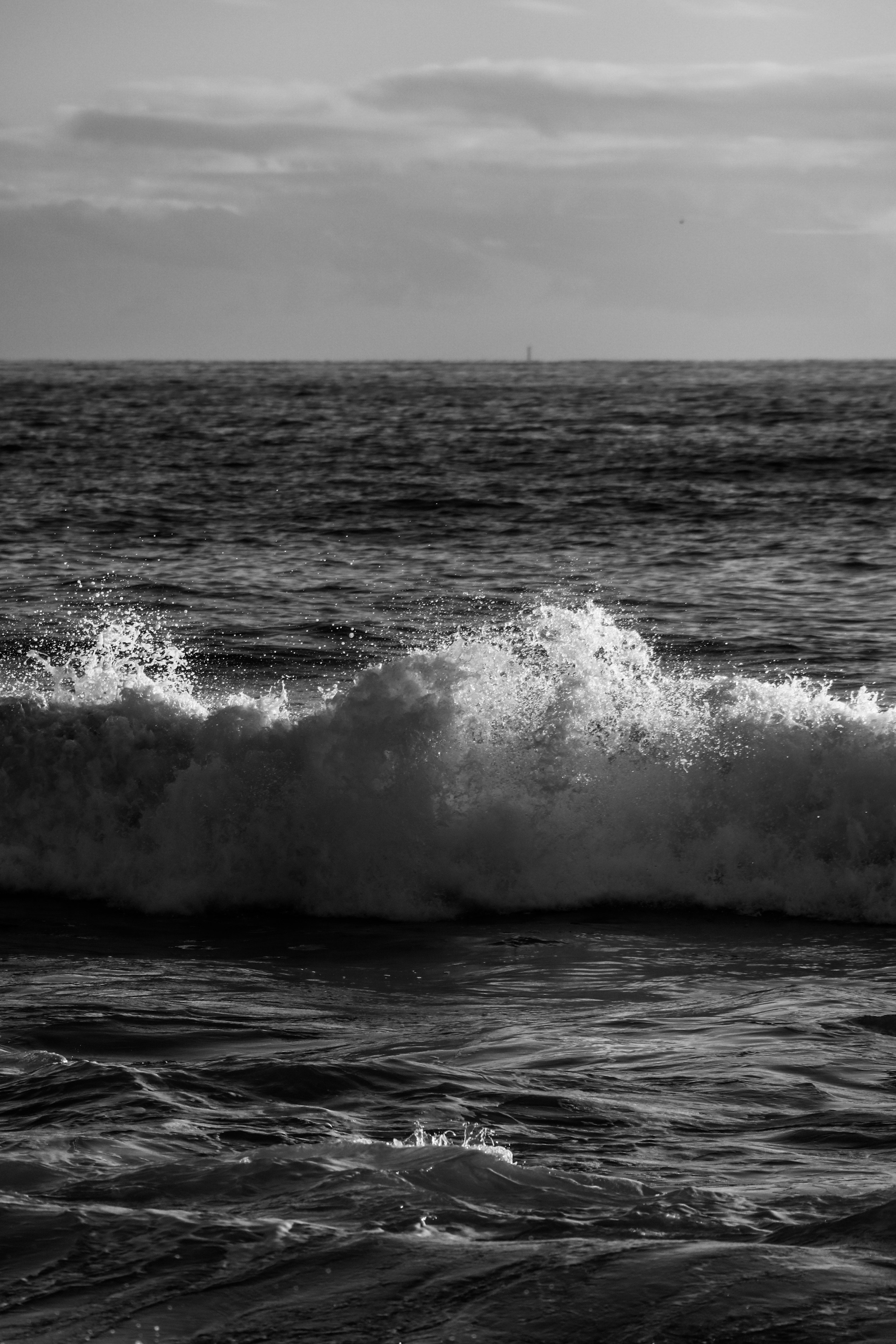 Photo by focalinsight