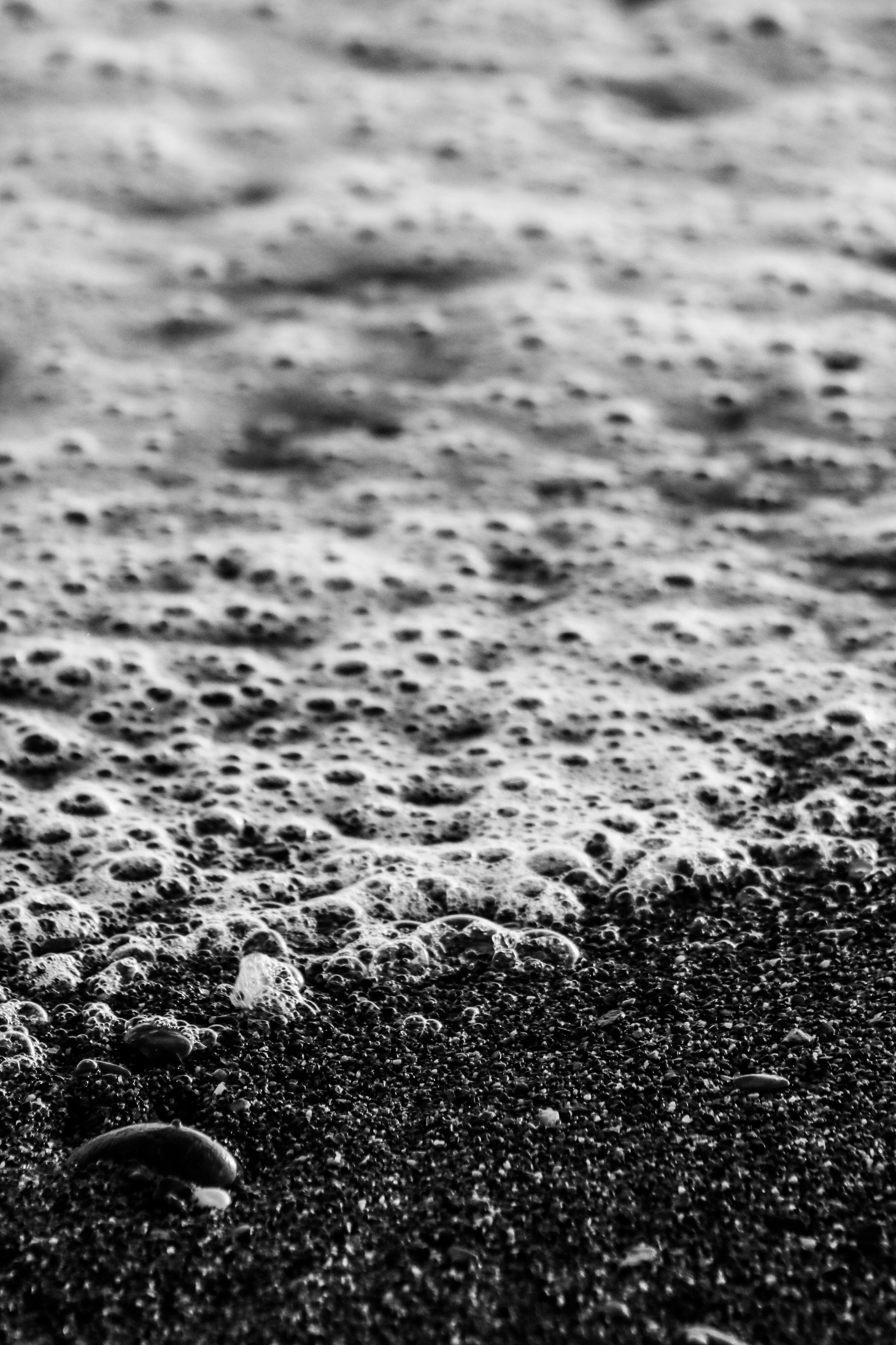 Photo by focalinsight