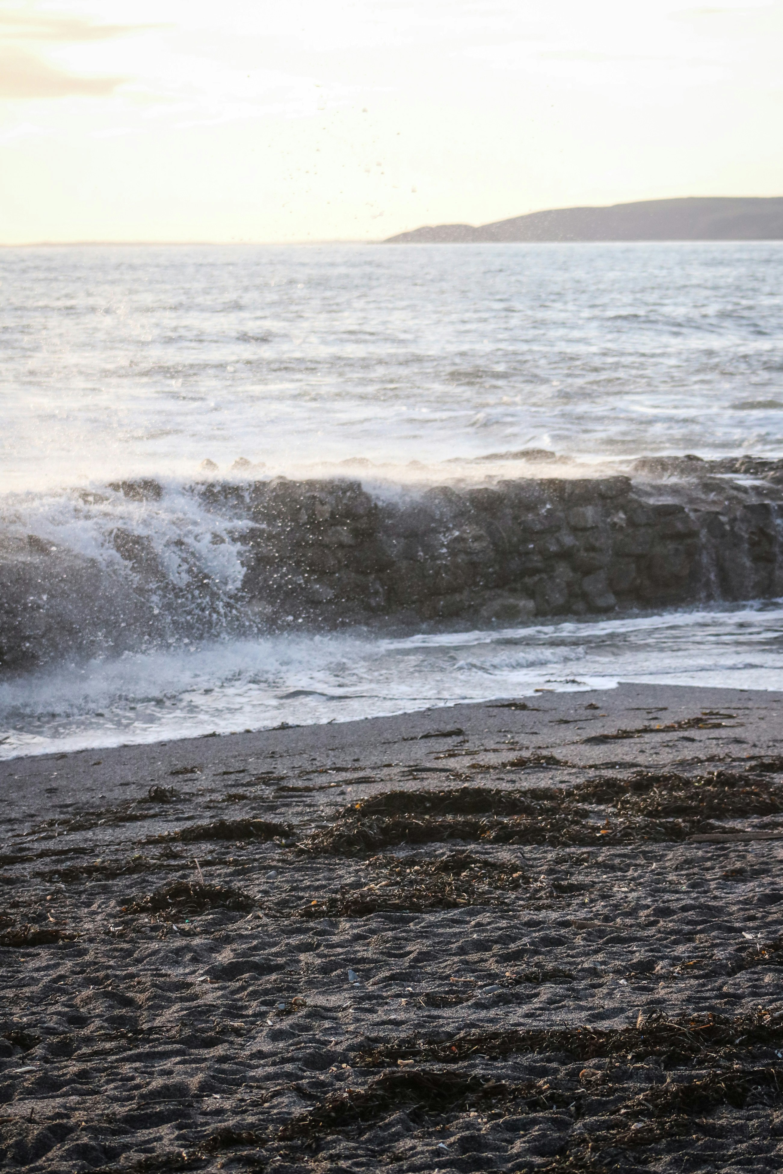 Photo by focalinsight