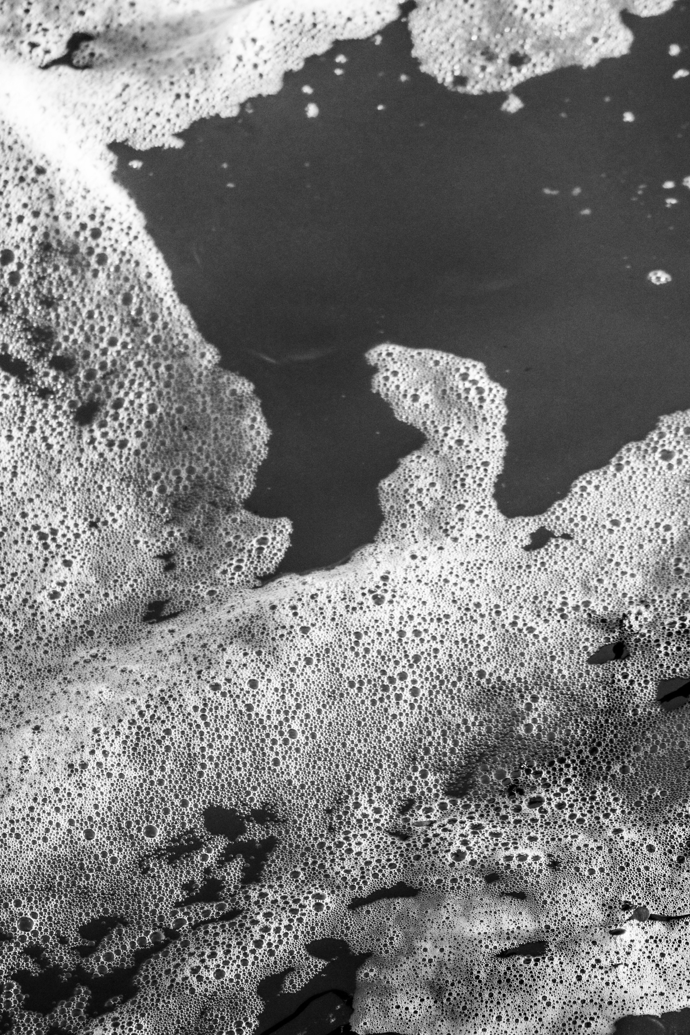 Photo by focalinsight