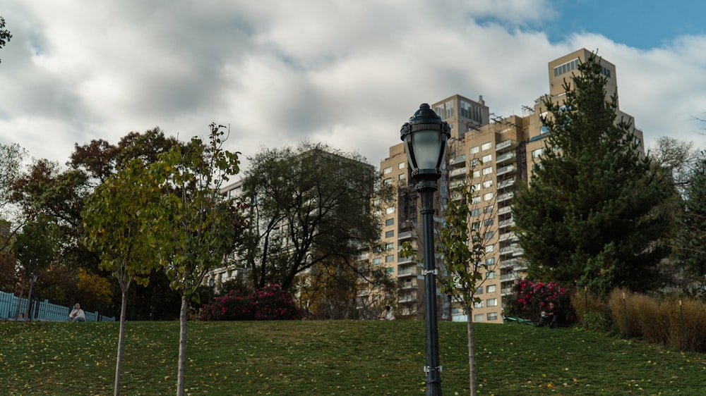 a lamp post in the middle of a park