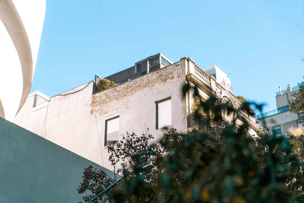 a white building with a balcony and a tree in front of it