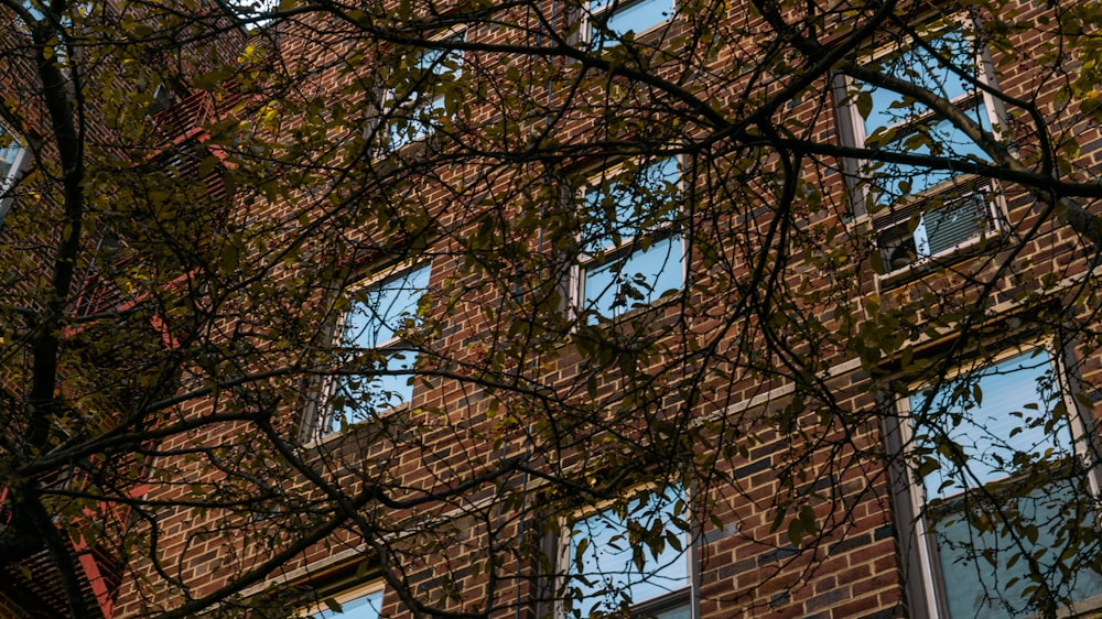 a red stop sign sitting in front of a tall brick building