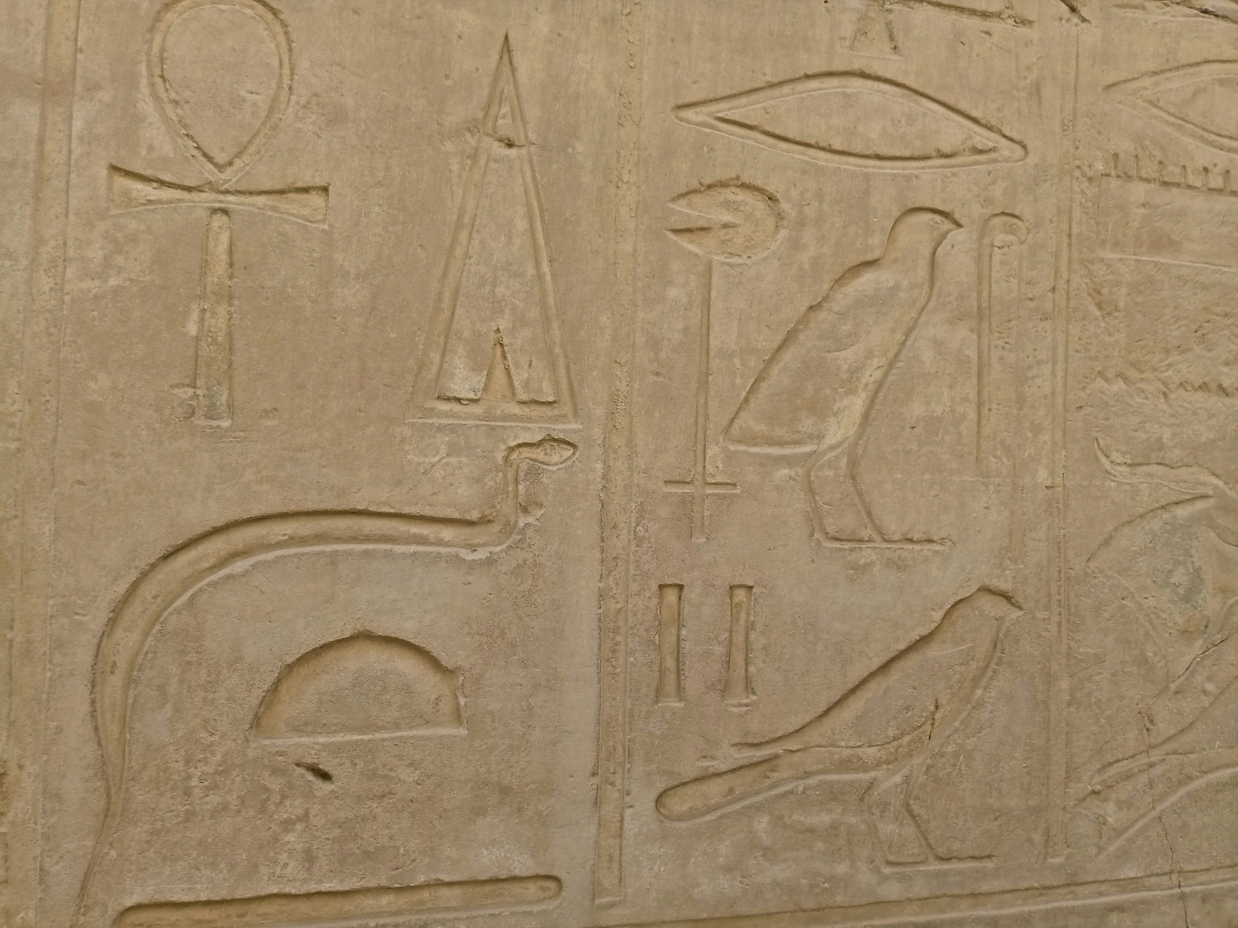 Egyptian hieroglyphs carved in stone wall, ancient writing system, warm sandstone color