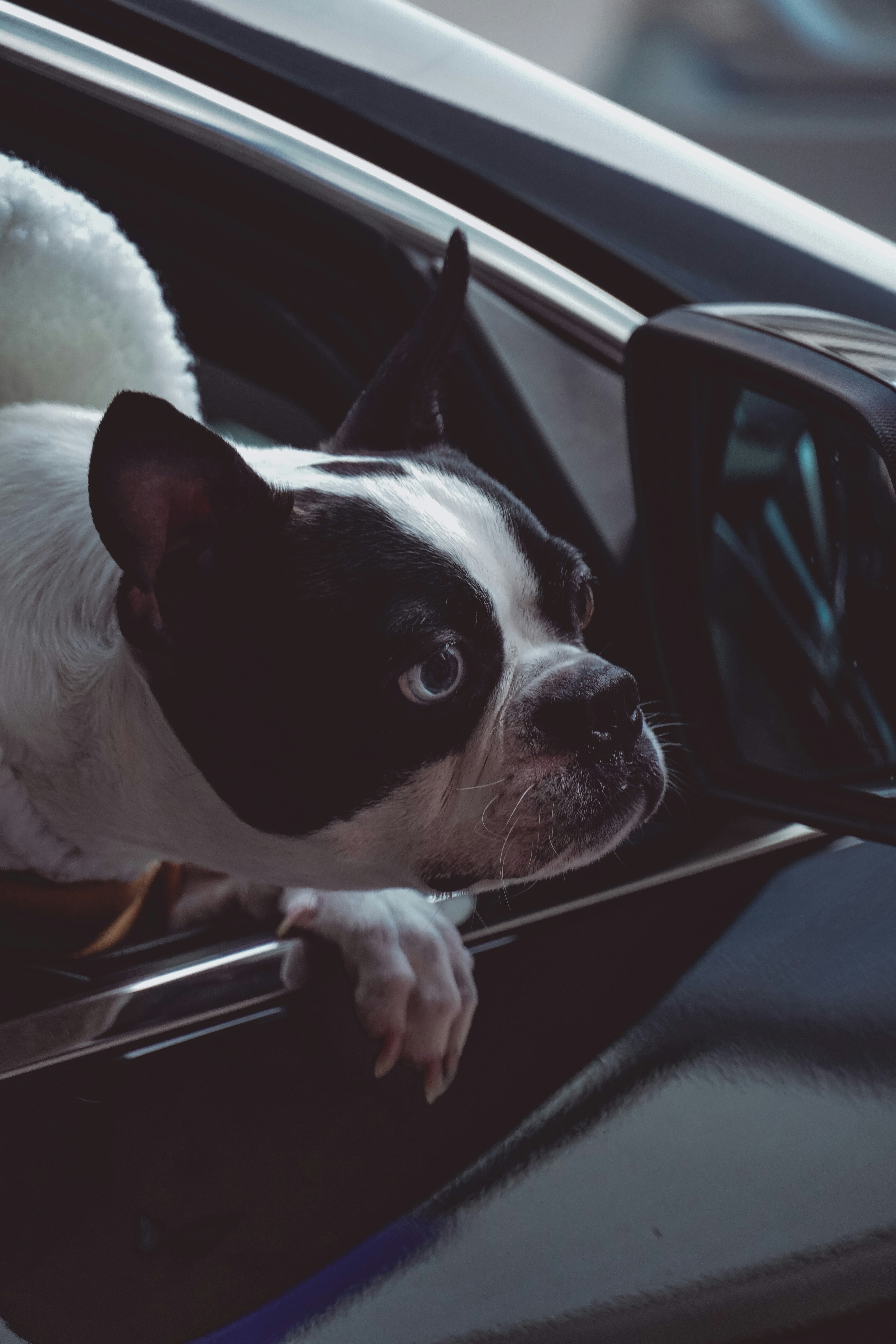 Photo by montaukproject