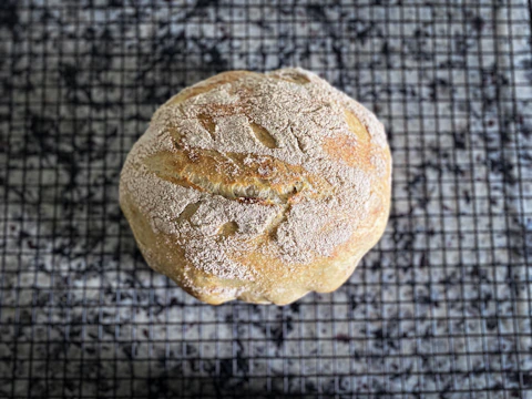 Warm loaf of homemade whole grain bread cooling on a rustic wooden board.