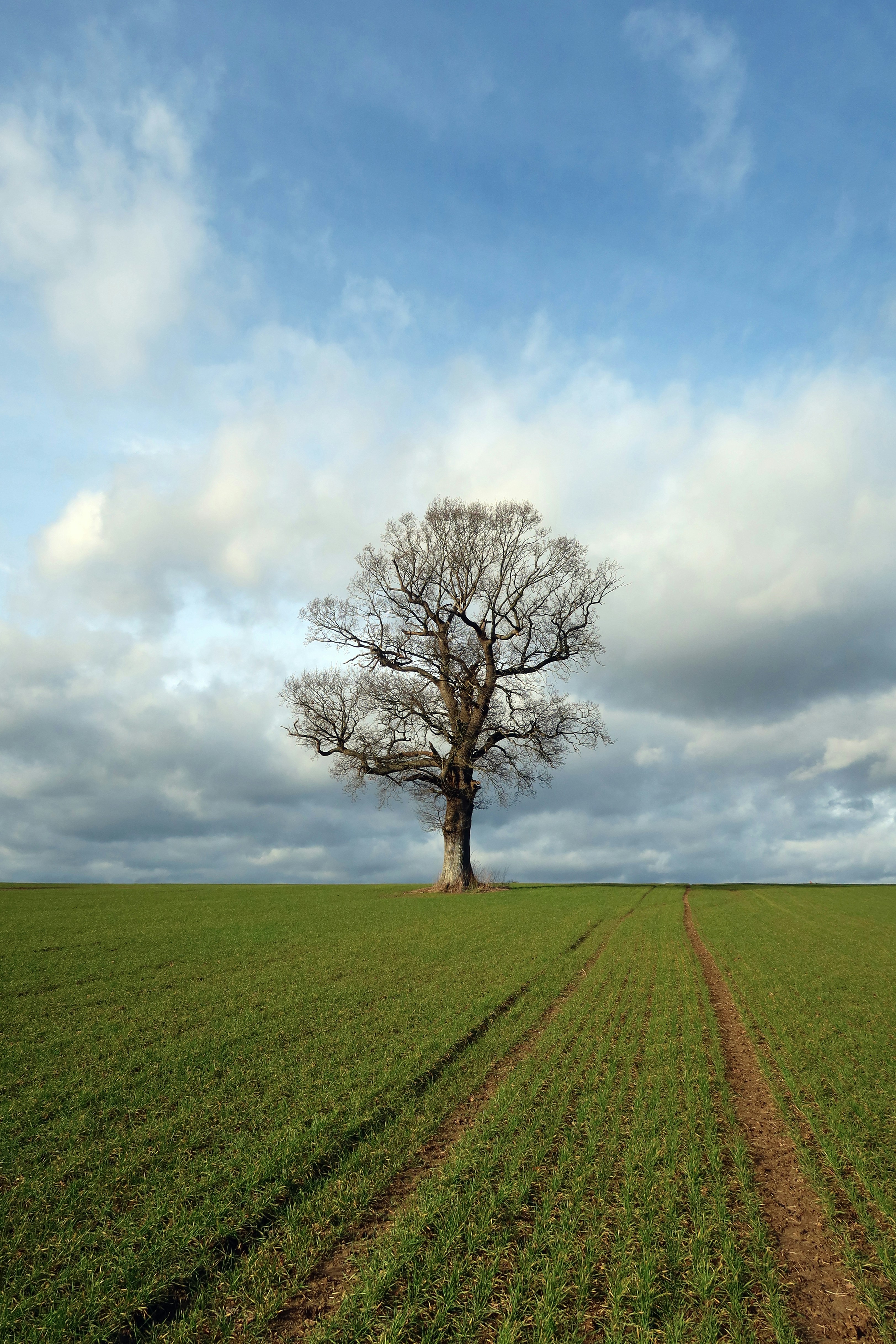 Photo by chrislinnett