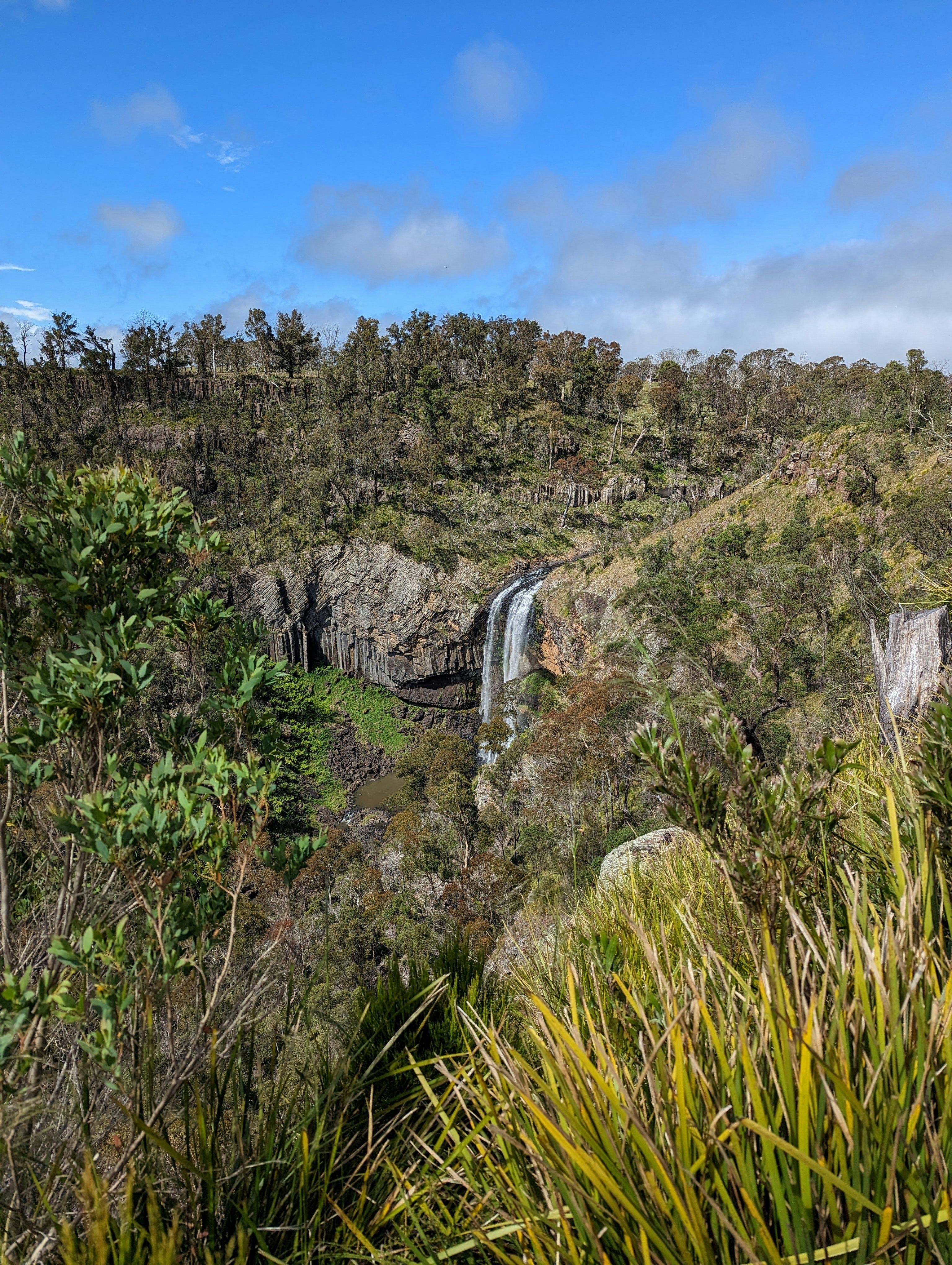 Photo by juliamitchell13