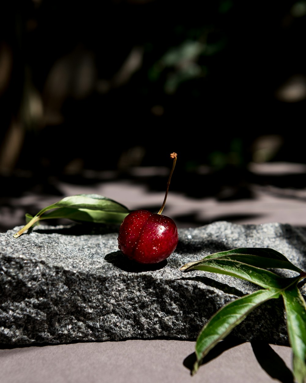 a red apple sitting on top of a rock