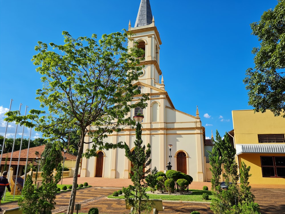 a white church with a steeple surrounded by trees