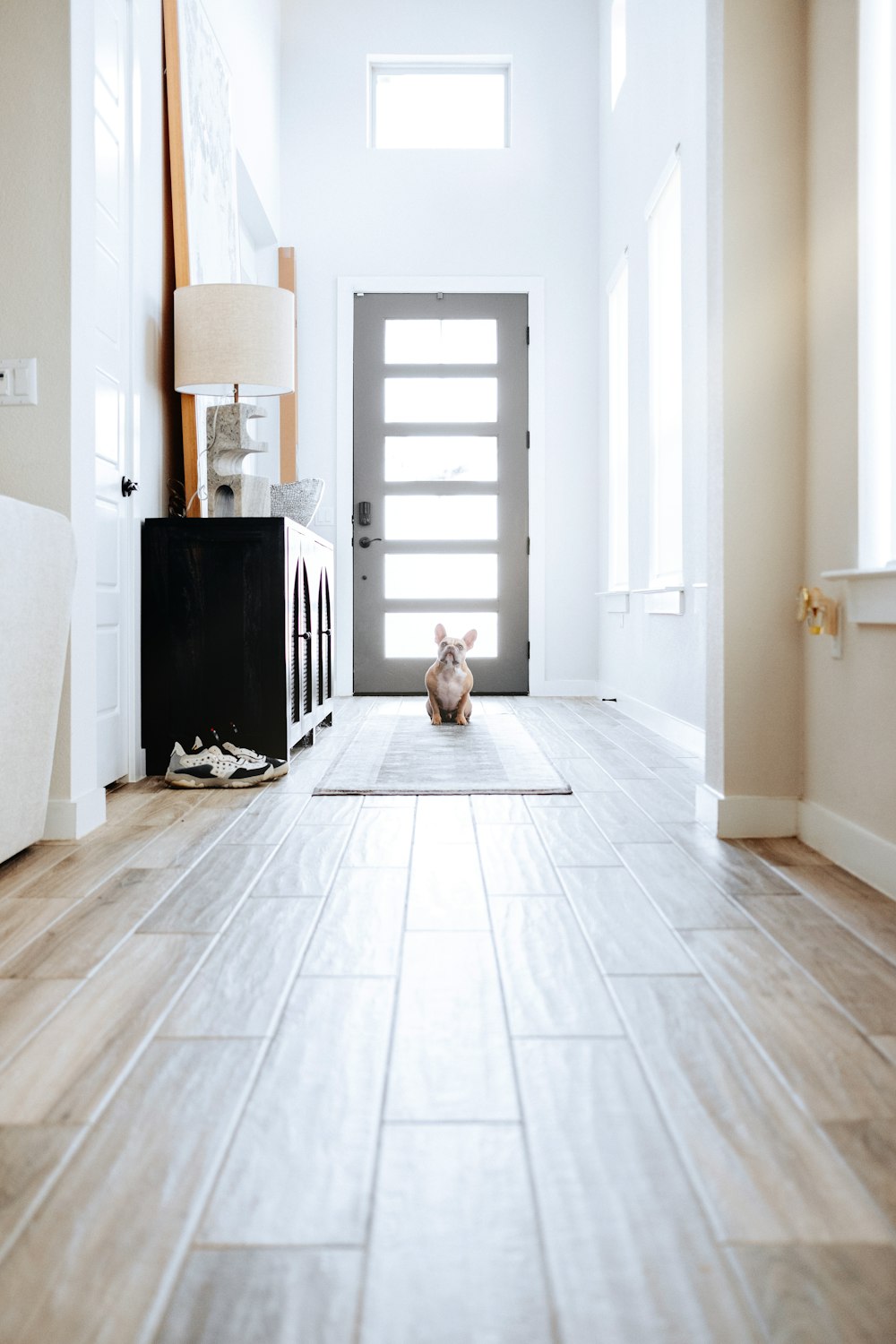 a dog sitting on the floor in front of a door