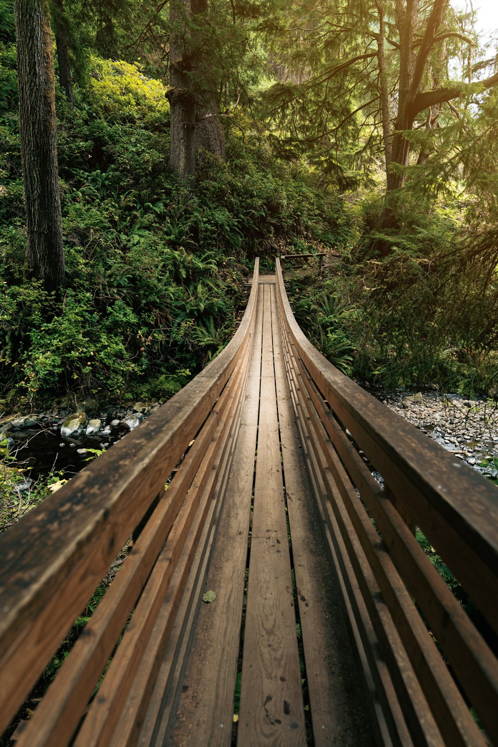 a wooden bridge in the middle of a forest