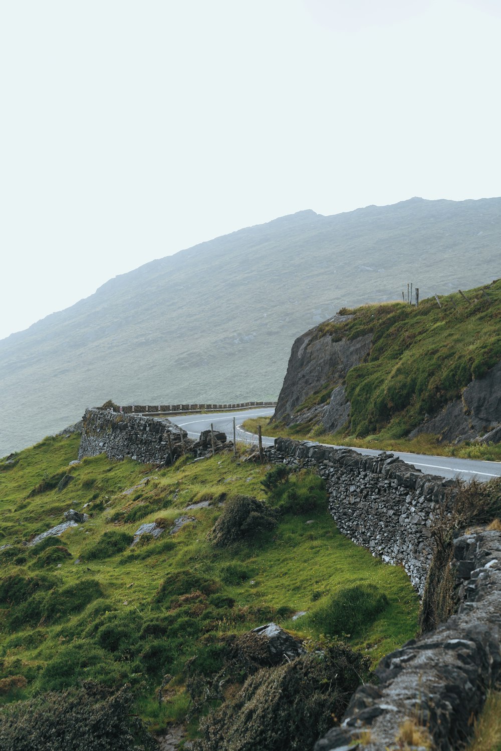 a couple of sheep standing on top of a lush green hillside