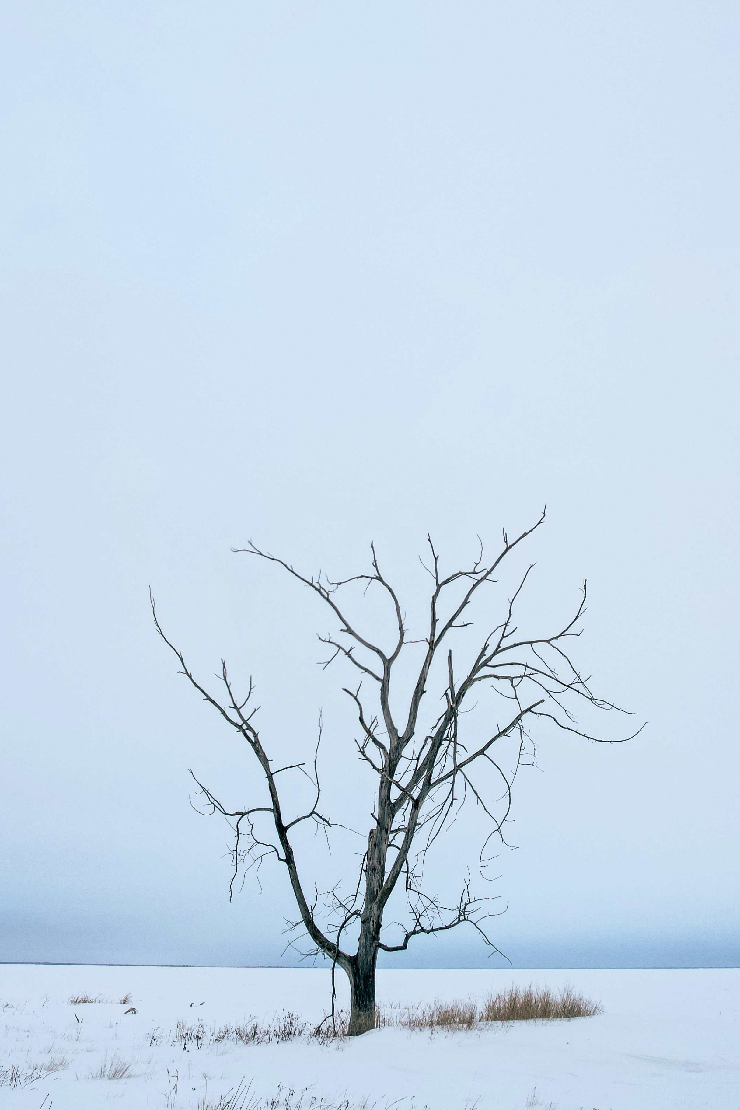 Photo by dronarephotography