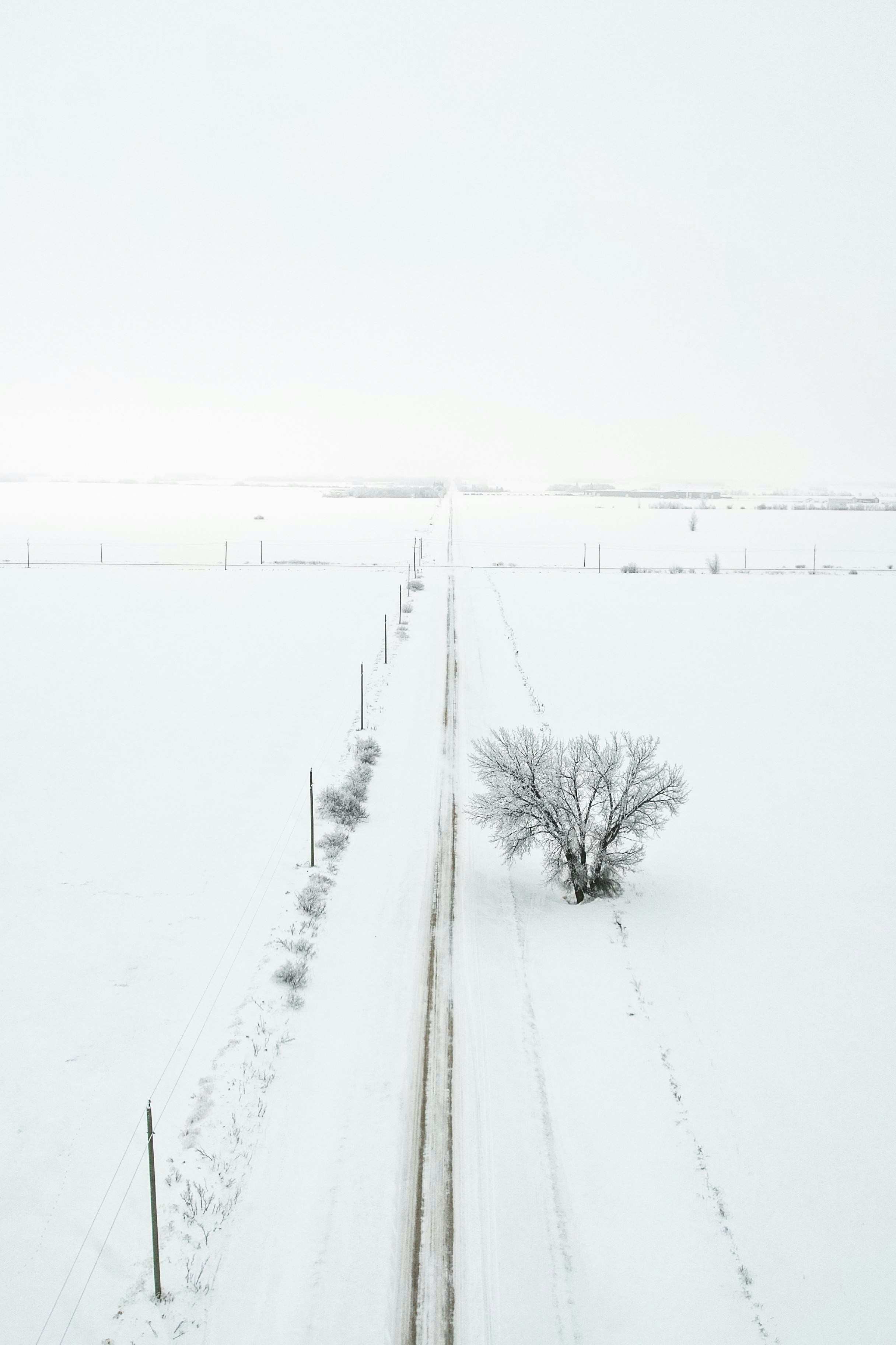 Photo by dronarephotography