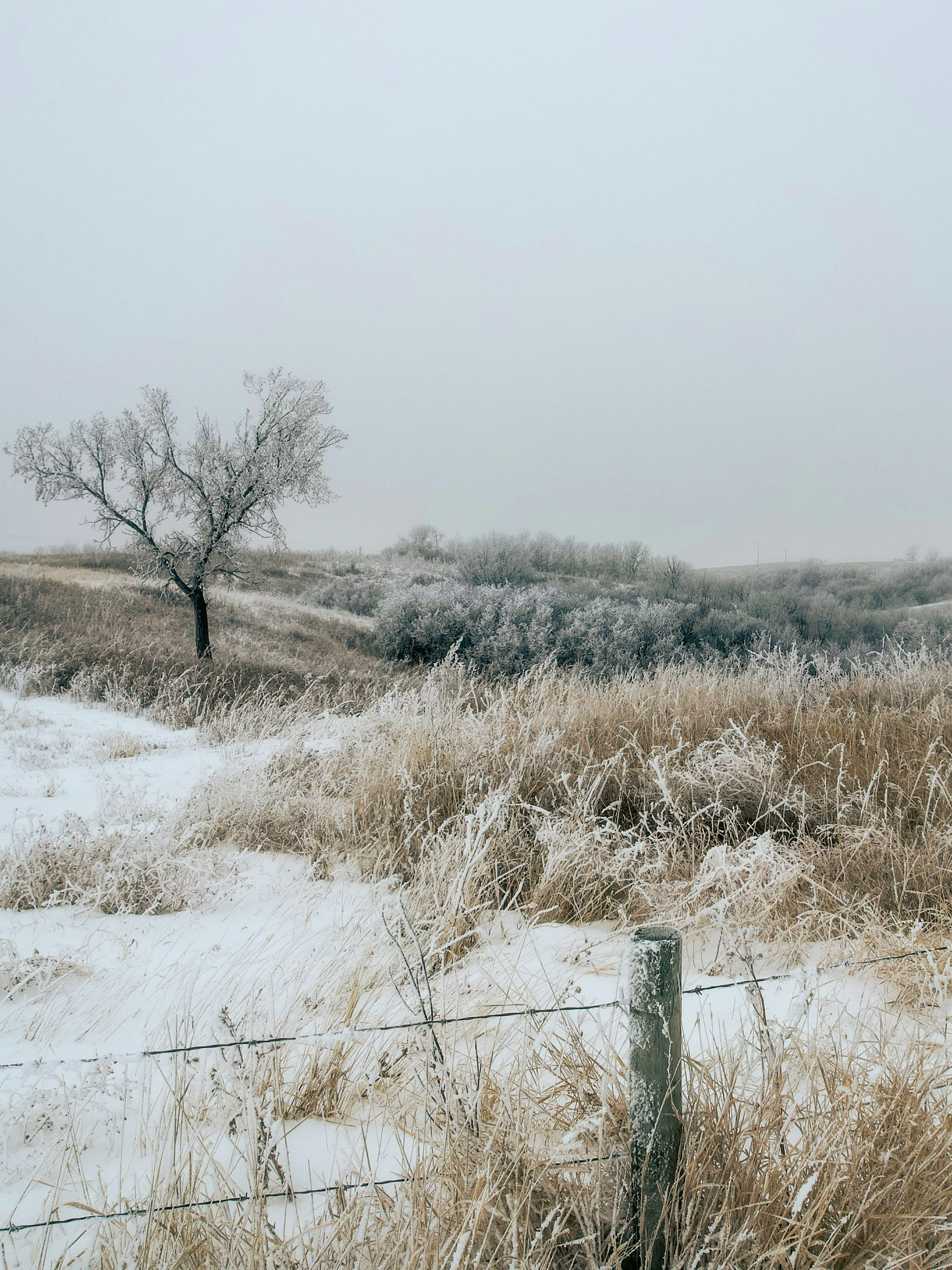 Photo by dronarephotography