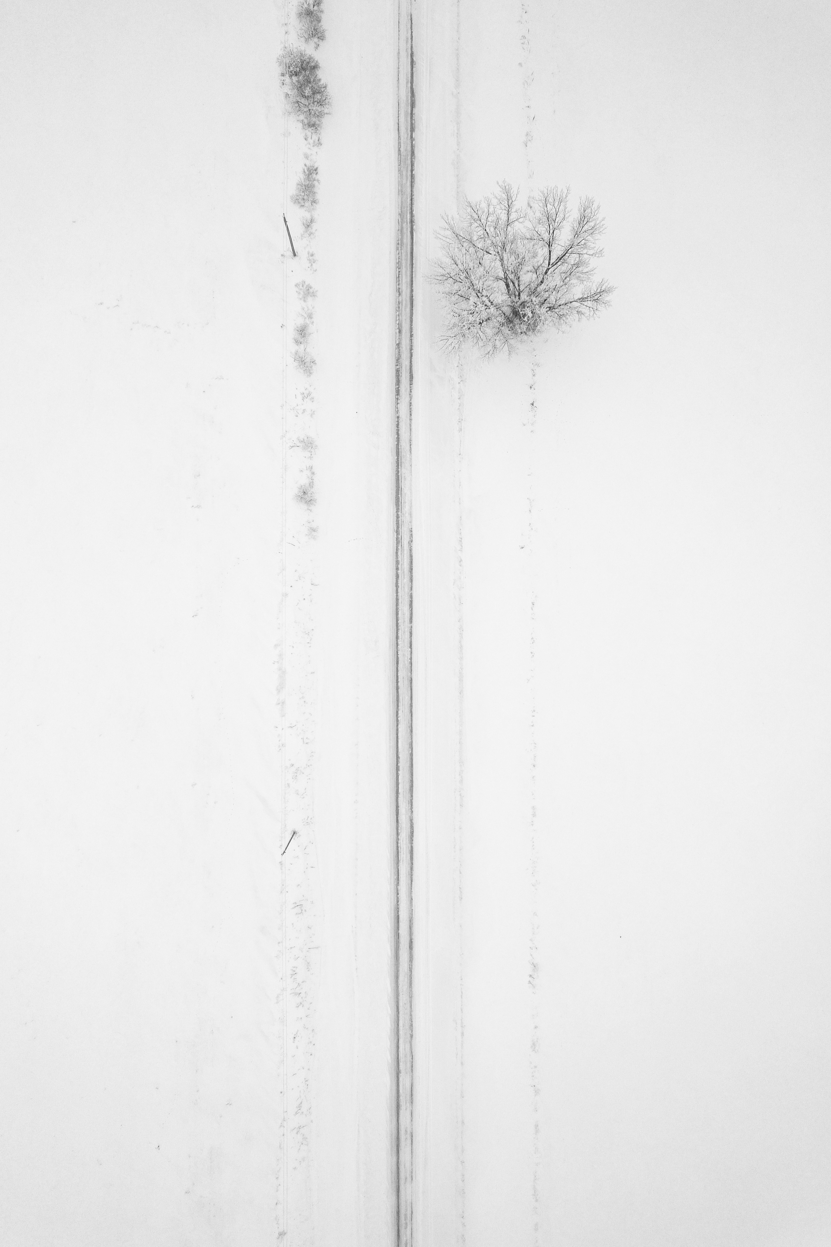 Photo by dronarephotography