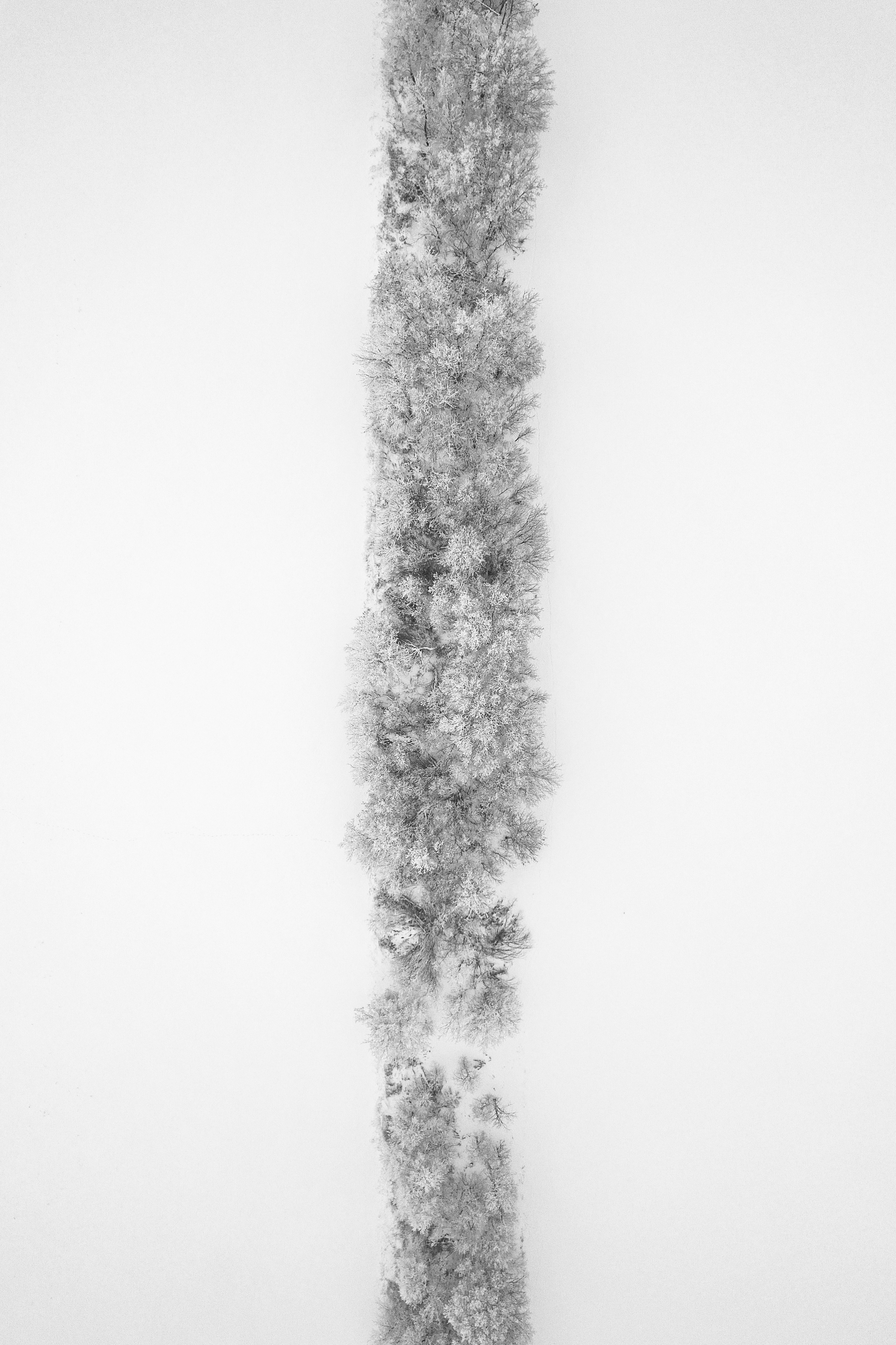 Photo by dronarephotography