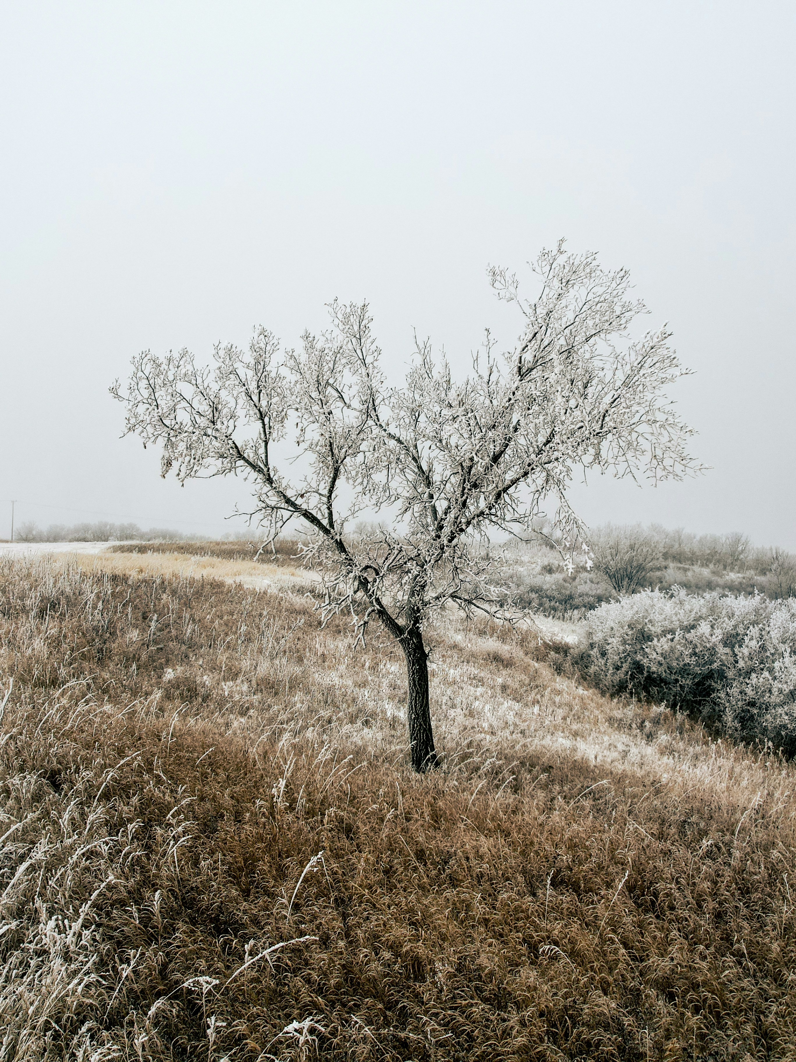 Photo by dronarephotography