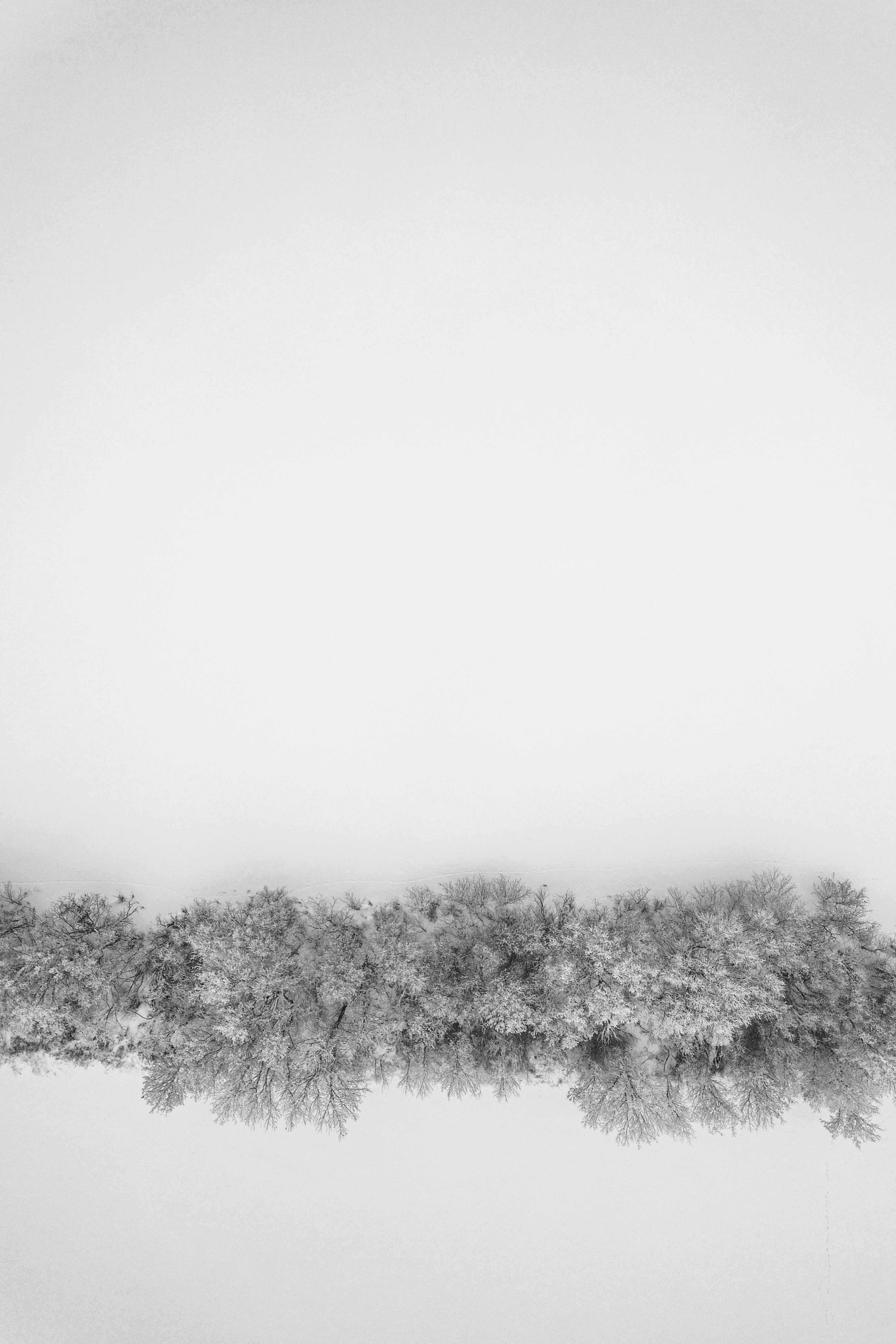 Photo by dronarephotography