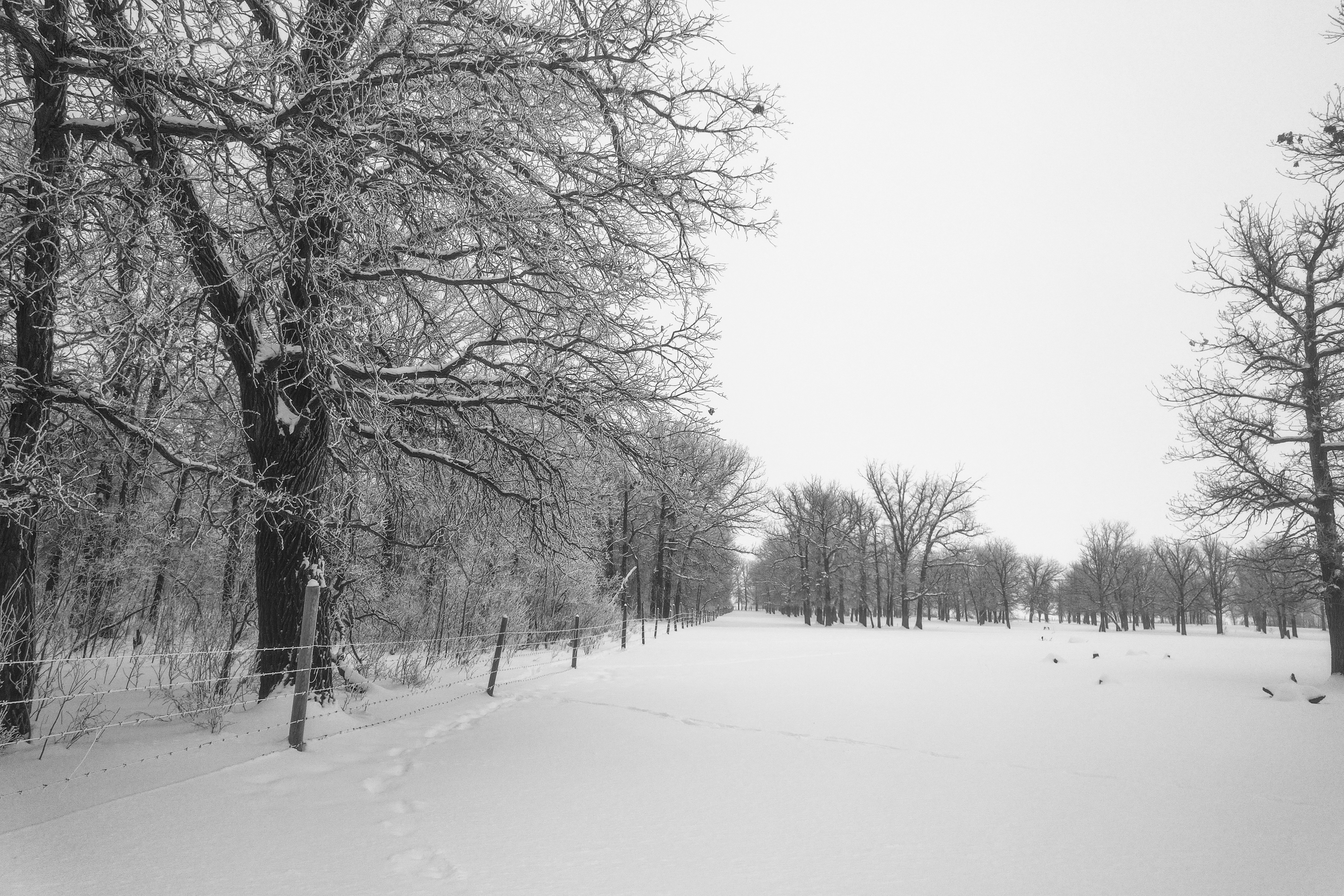 Photo by dronarephotography