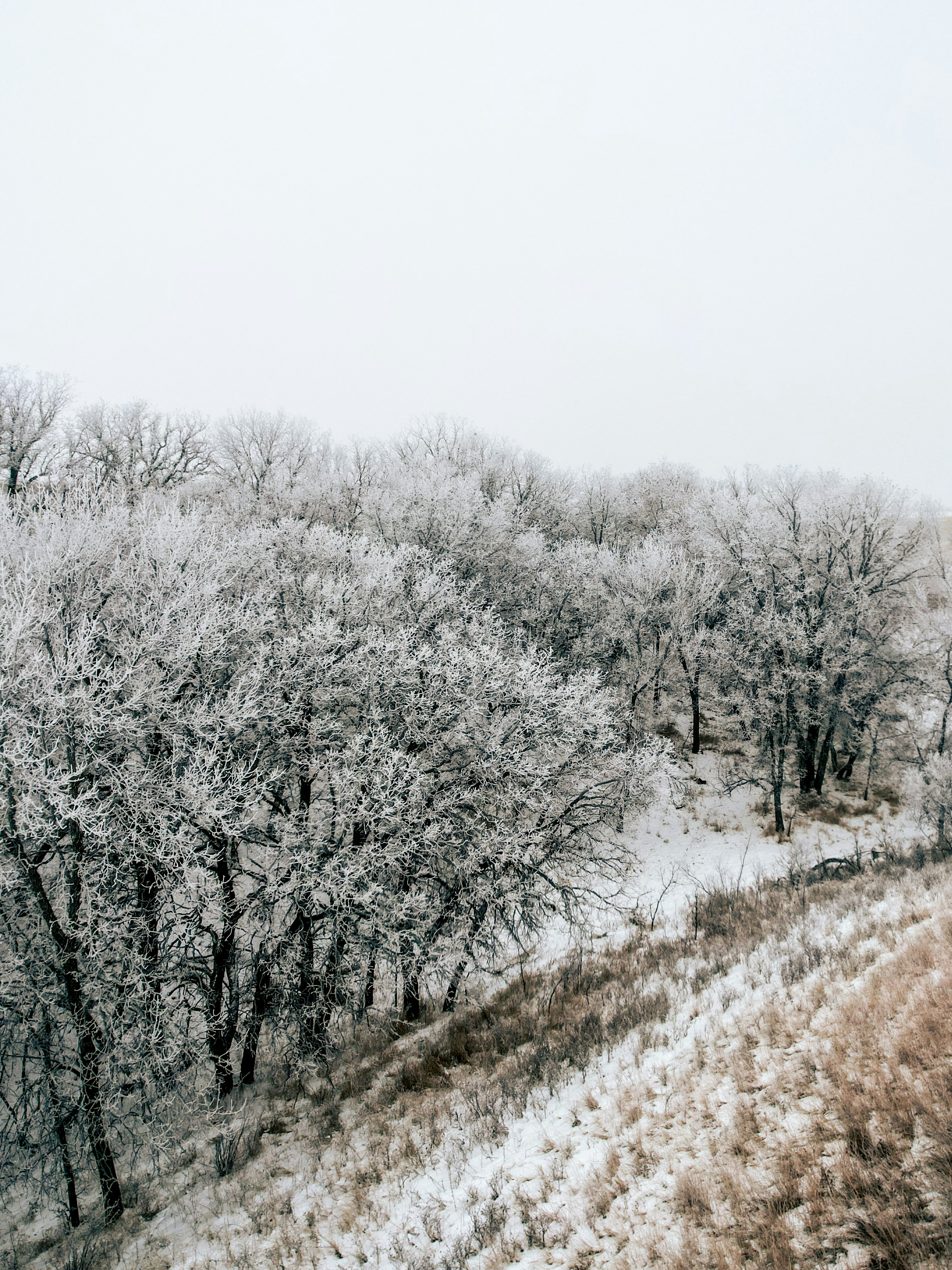 Photo by dronarephotography