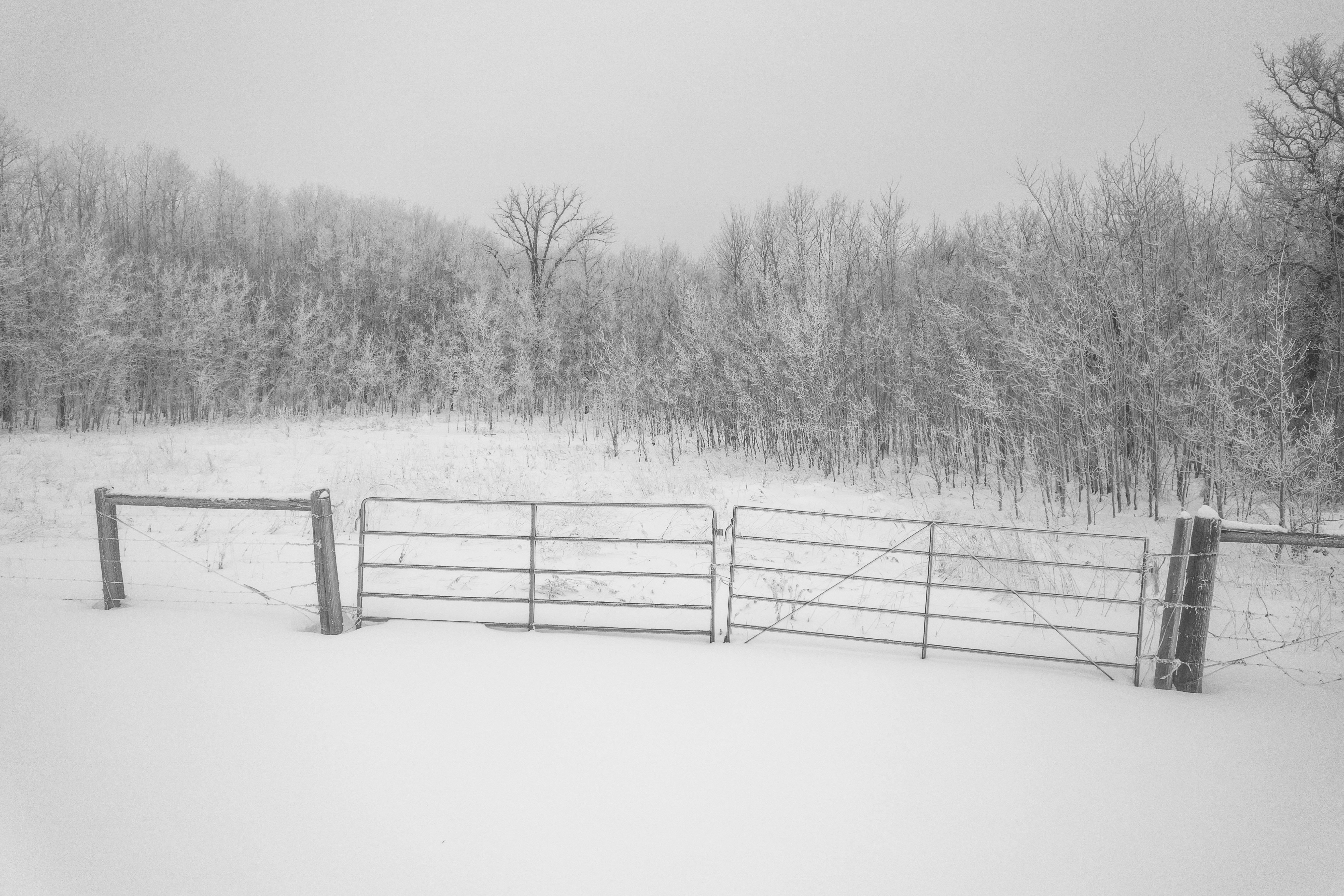 Photo by dronarephotography