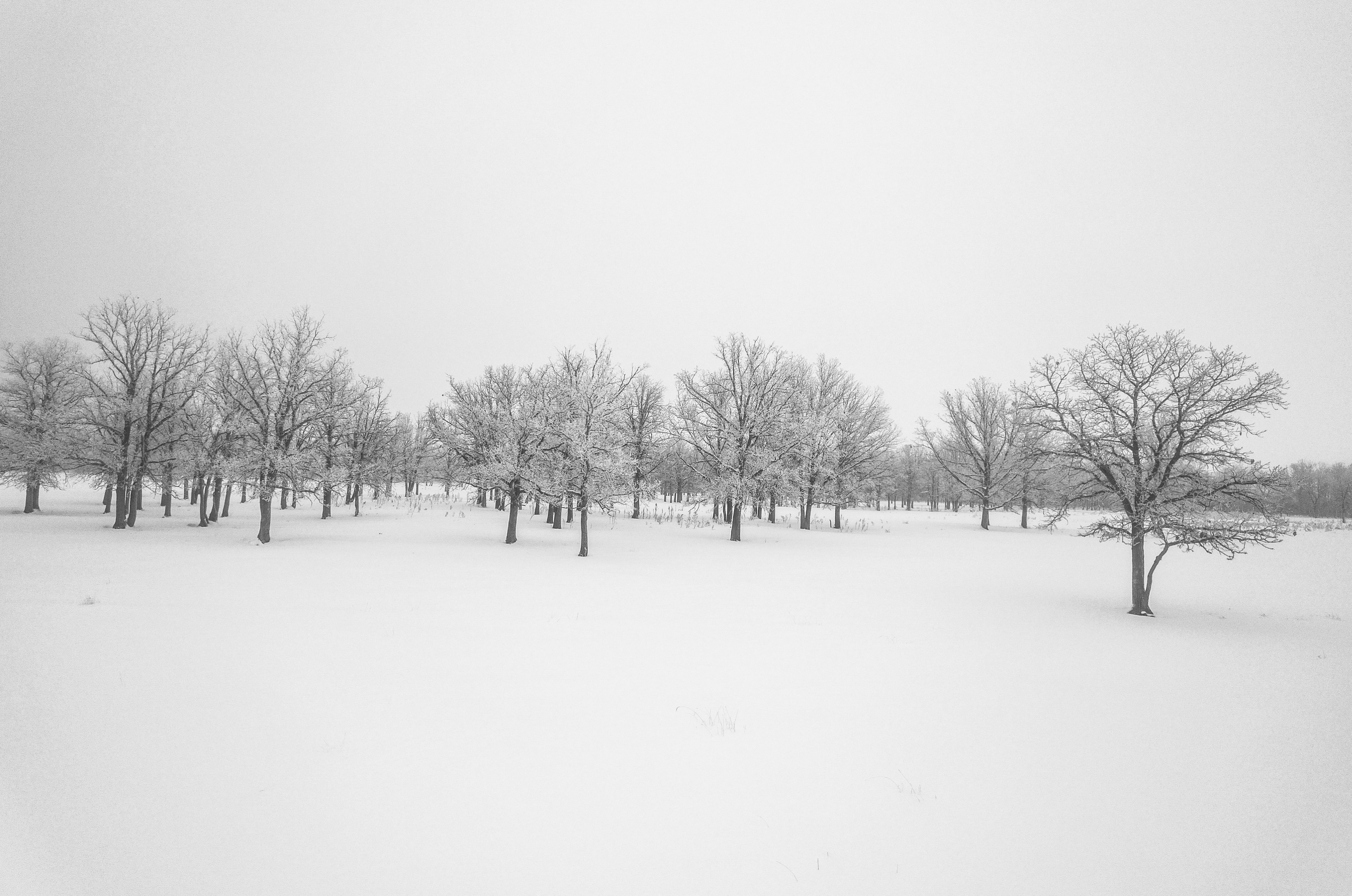 Photo by dronarephotography