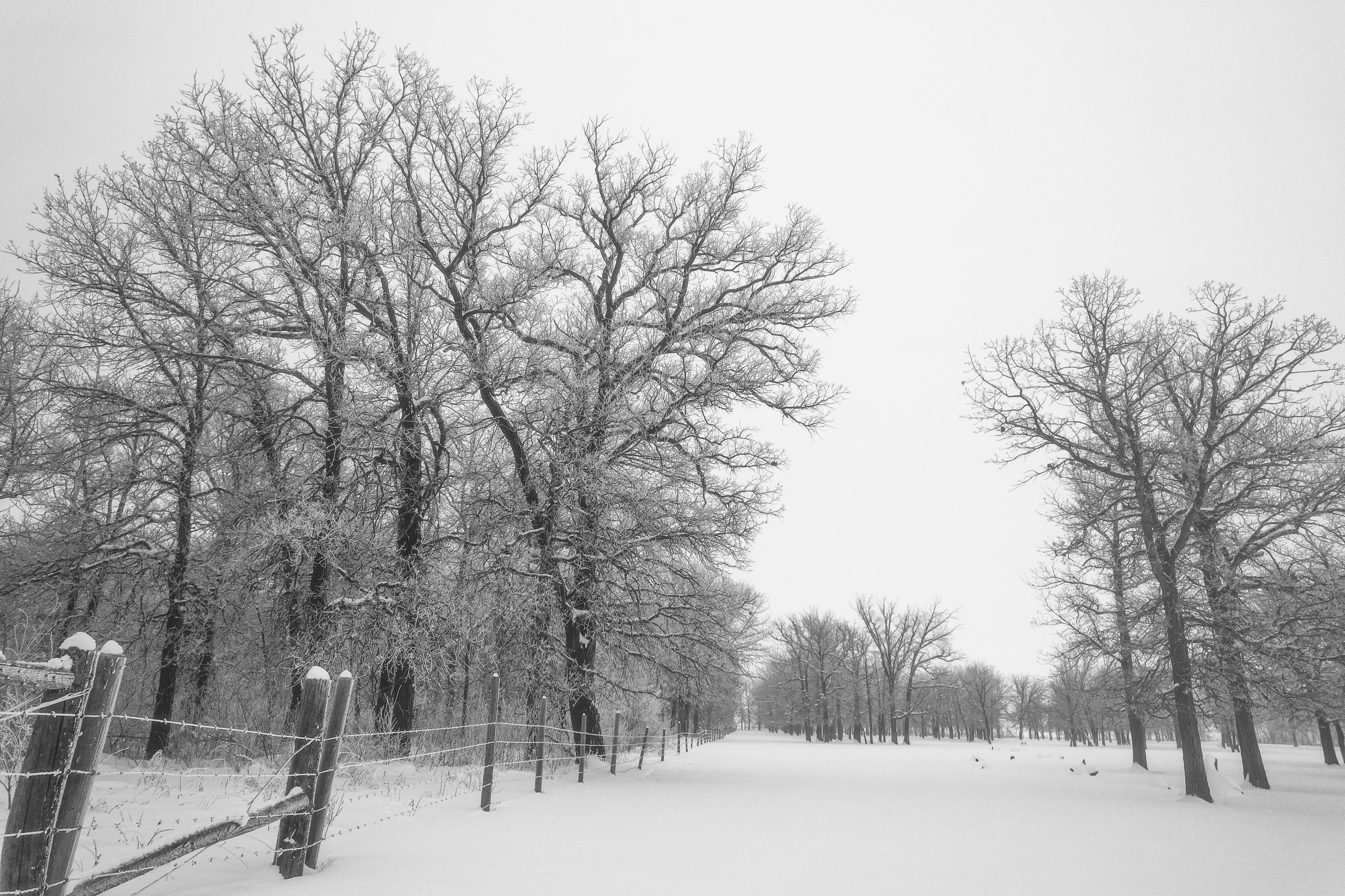 Photo by dronarephotography