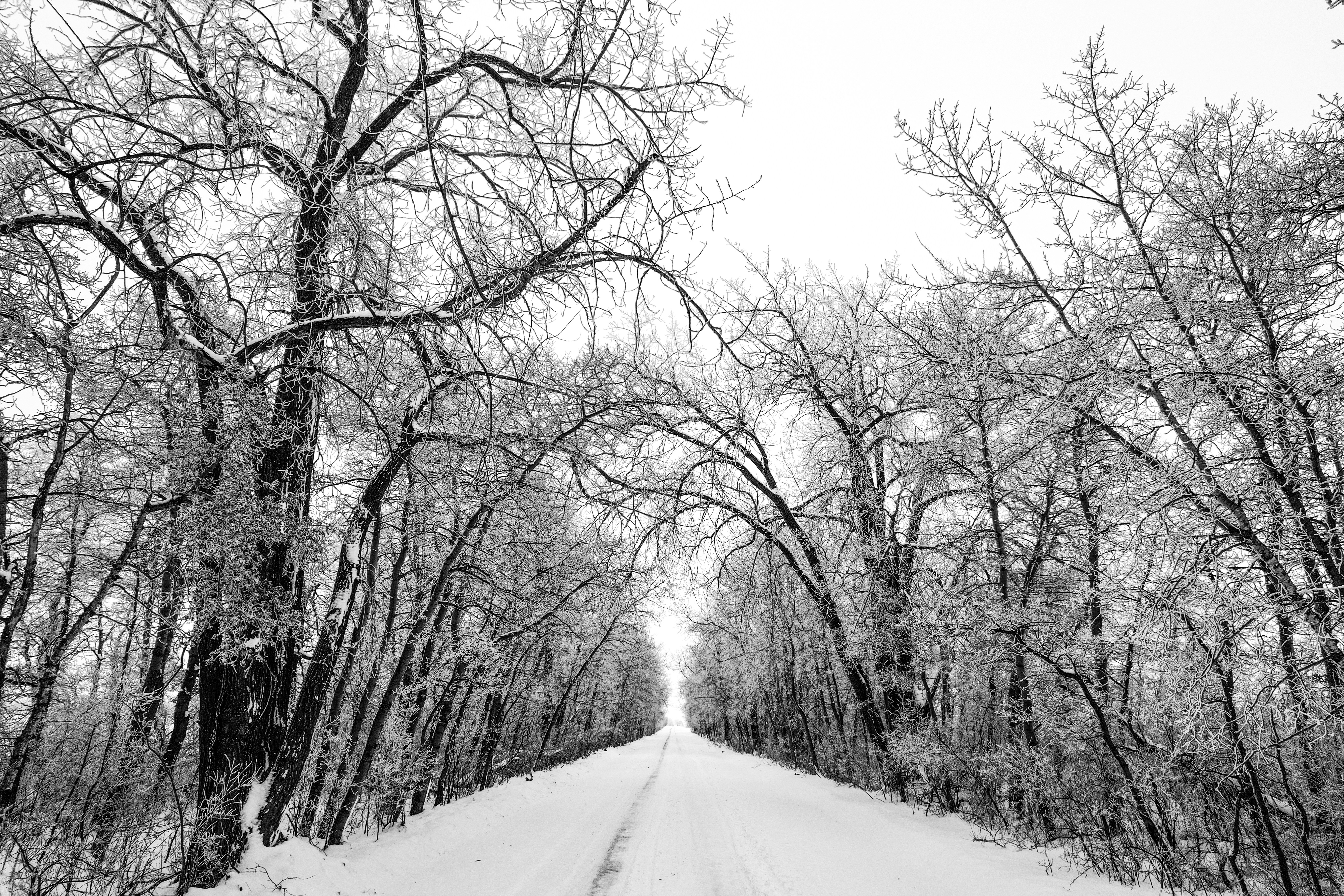 Photo by dronarephotography