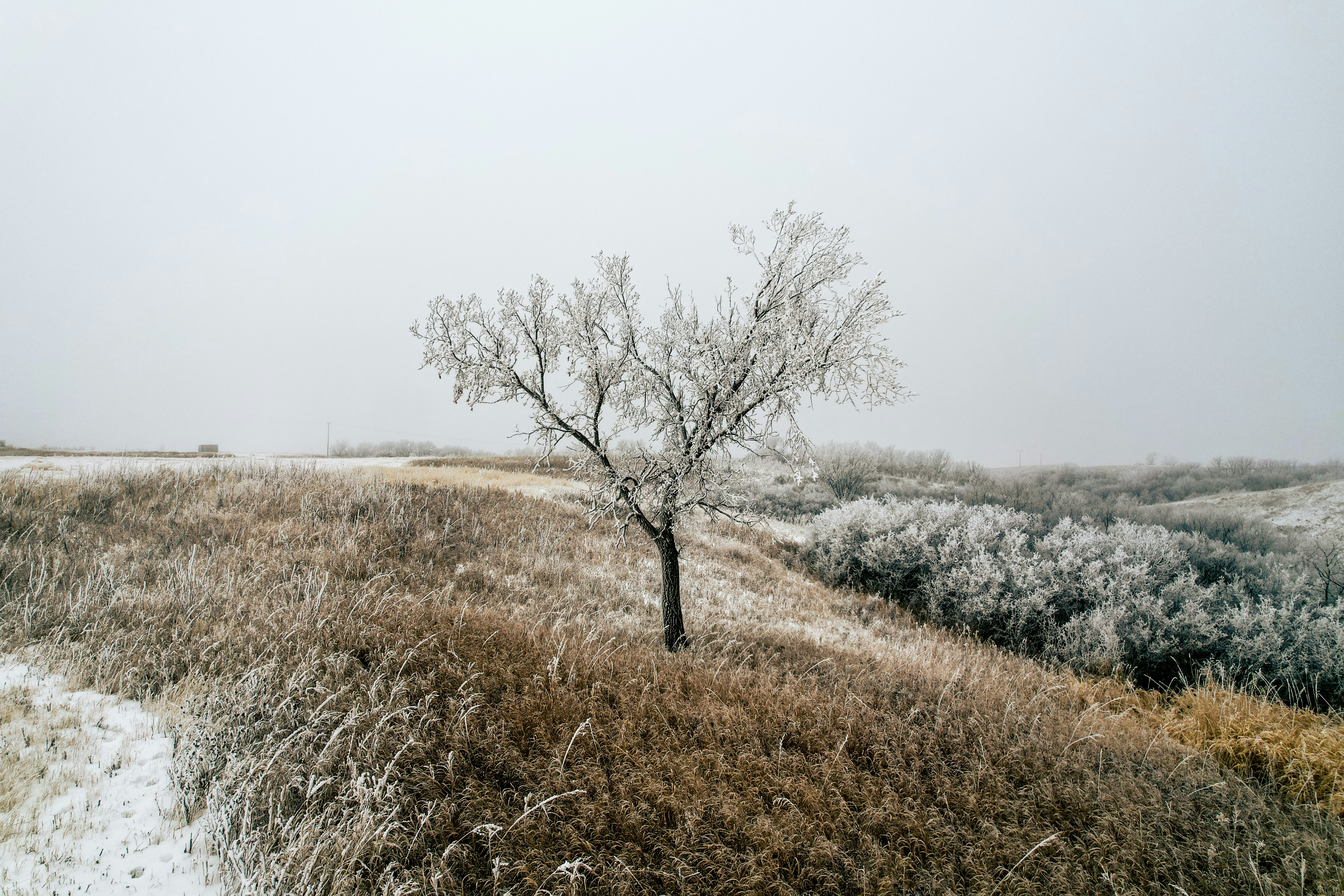 Photo by dronarephotography