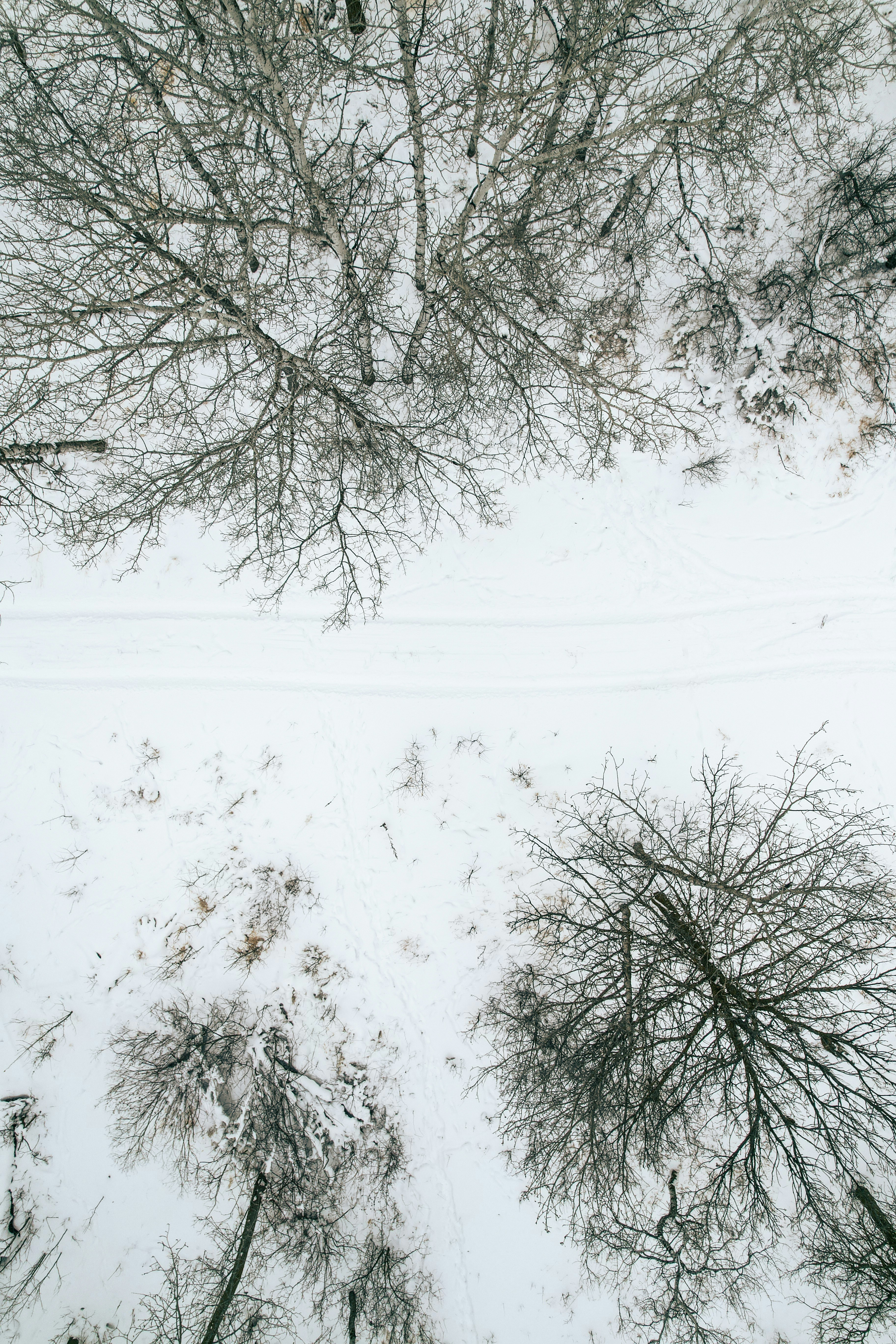 Photo by dronarephotography