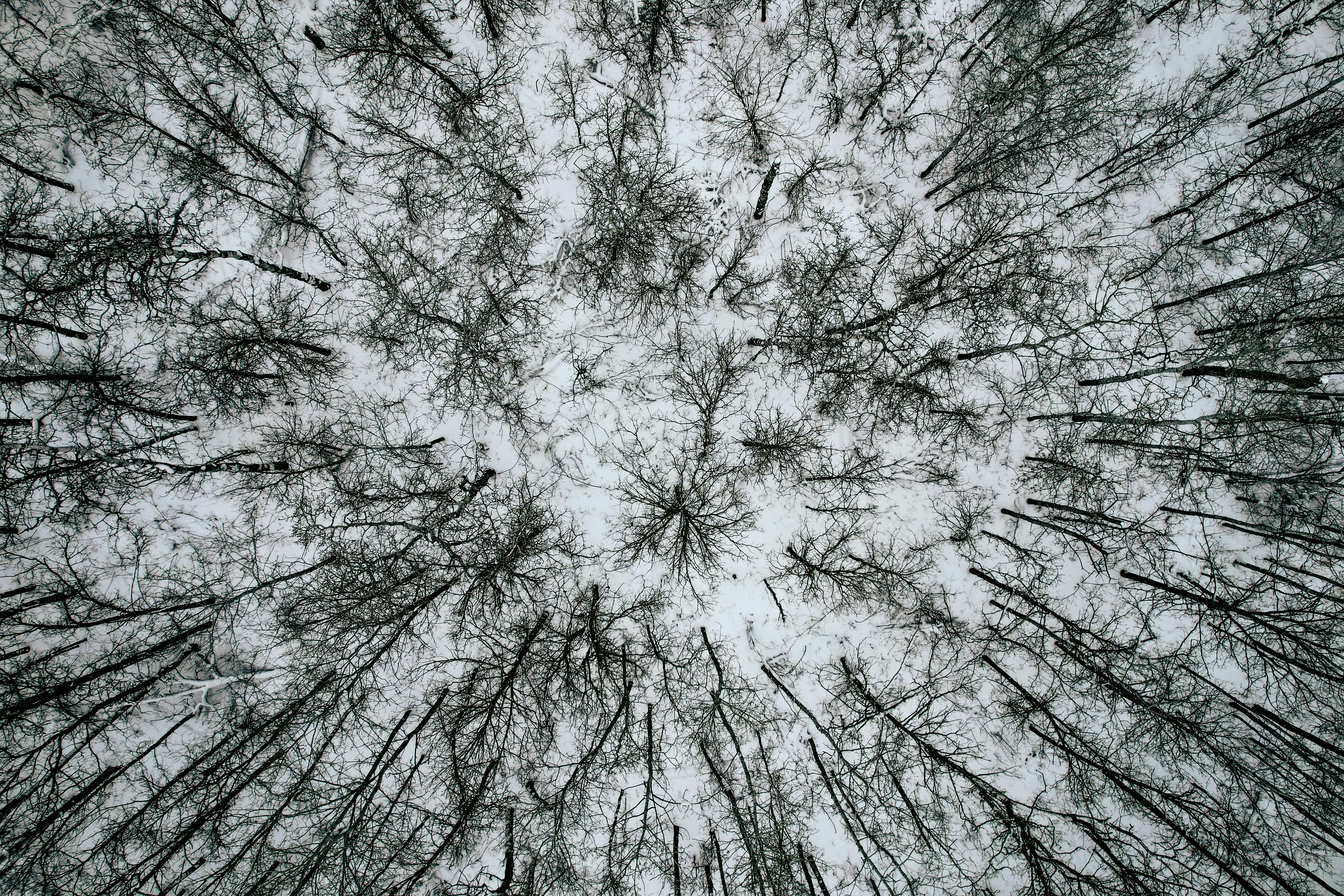 Photo by dronarephotography